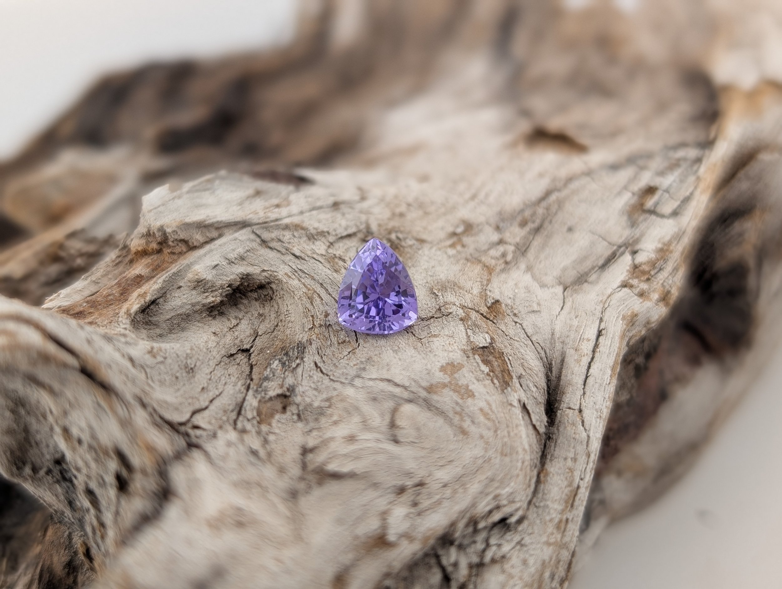 Trillion purple sapphire displayed on drift wood