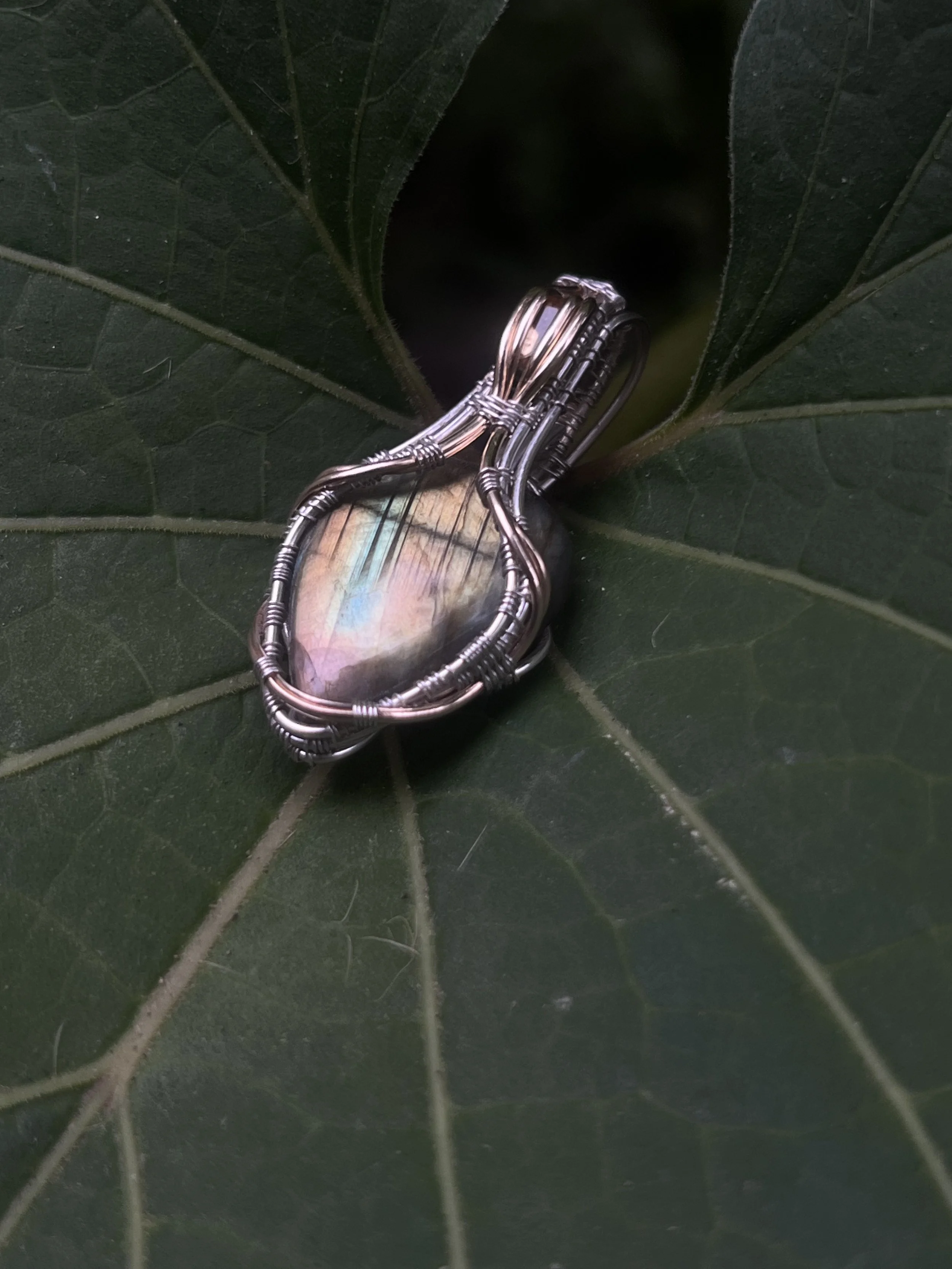 Golden Leaf ✨
