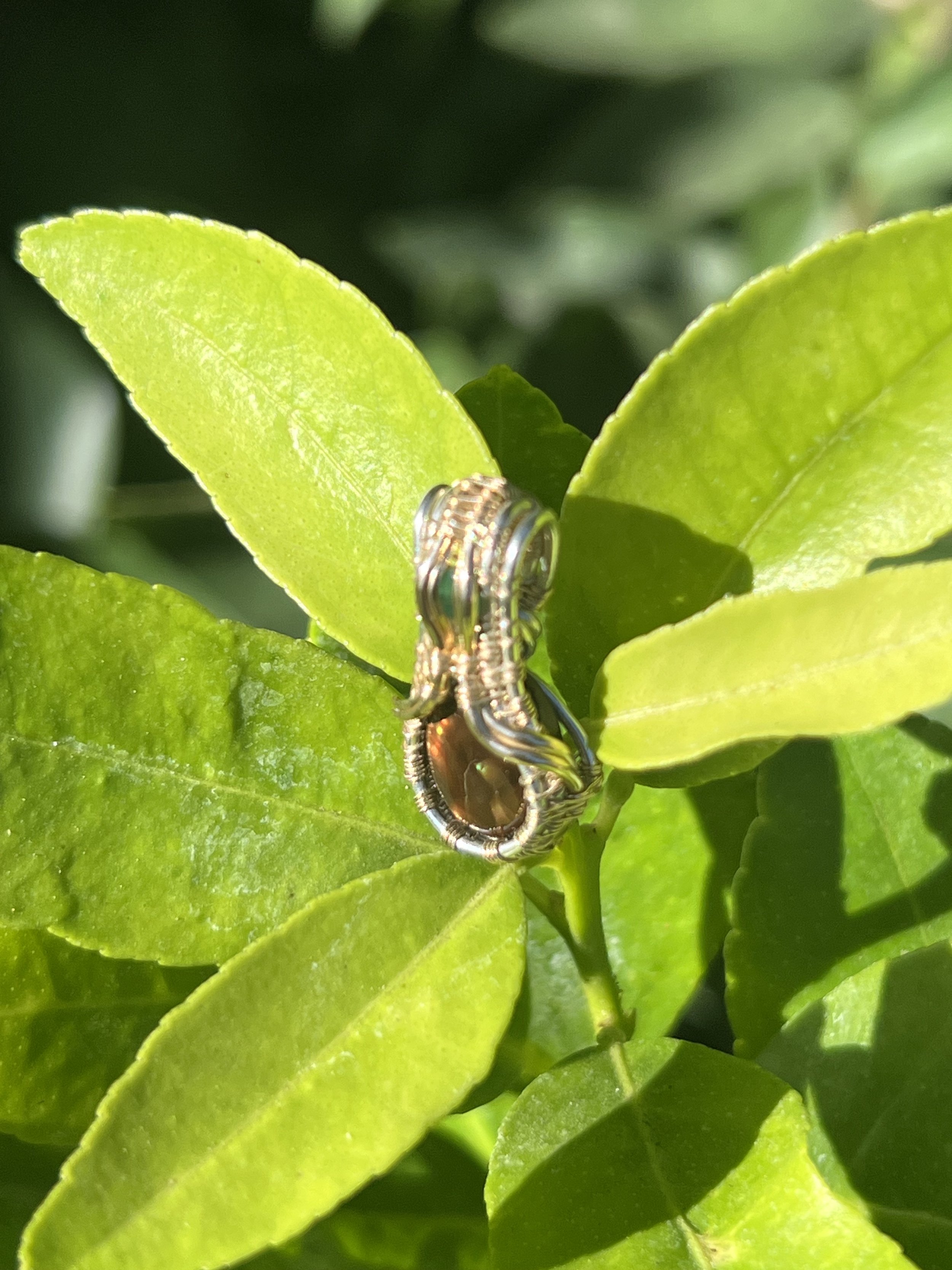 ✨ Nectar of the Night 🌑