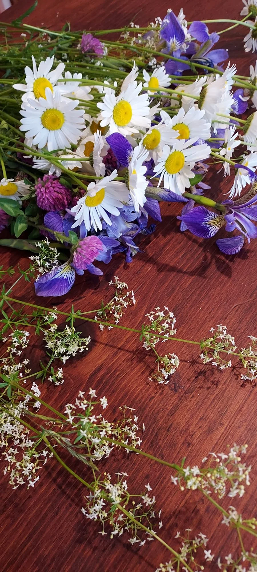 A bouquet of wildflowers including daisies, purple irises, and small white flowers on a wooden table.