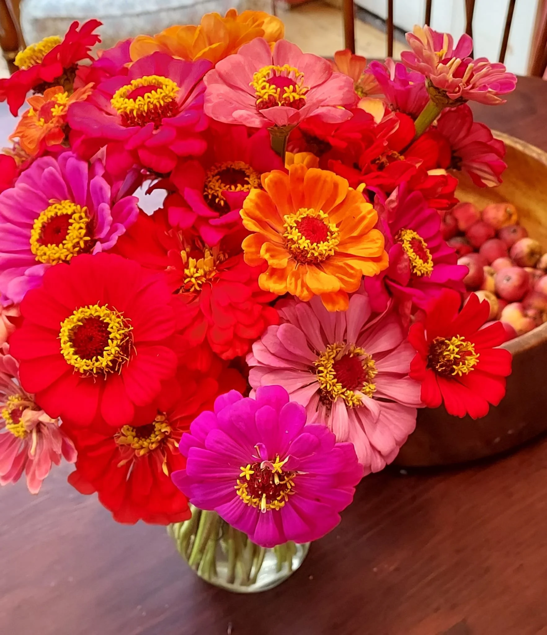 Vase of vibrant red, pink, and orange zinnias on a wooden table.