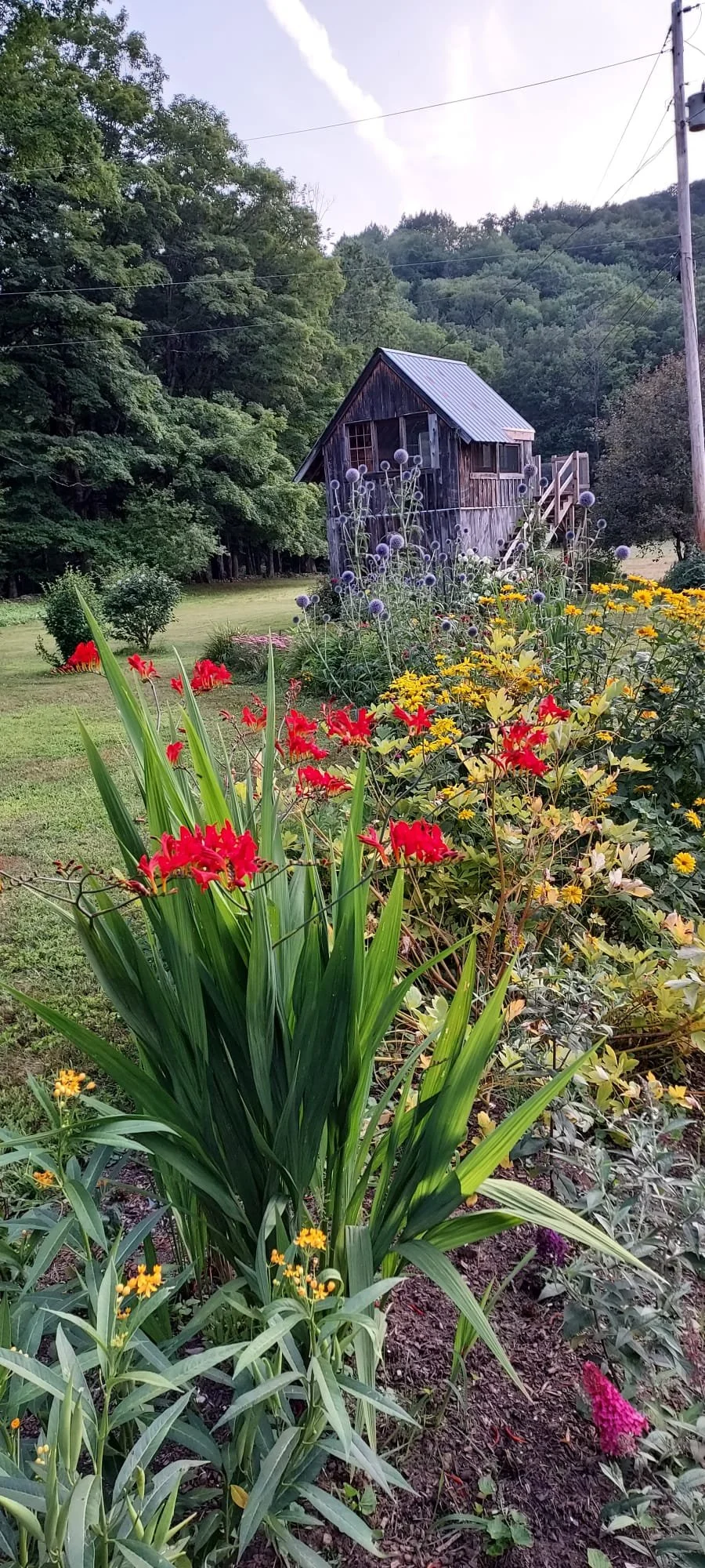 Rustic wooden cabin surrounded by vibrant flower garden and lush green trees.