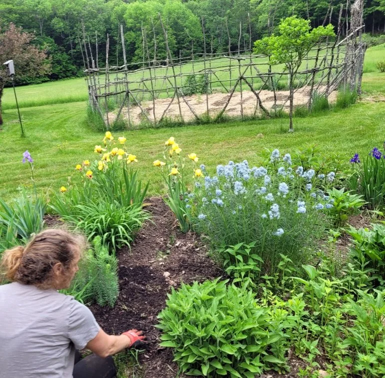 Person gardening in floral garden with yellow and blue flowers, surrounded by green trees and grass.