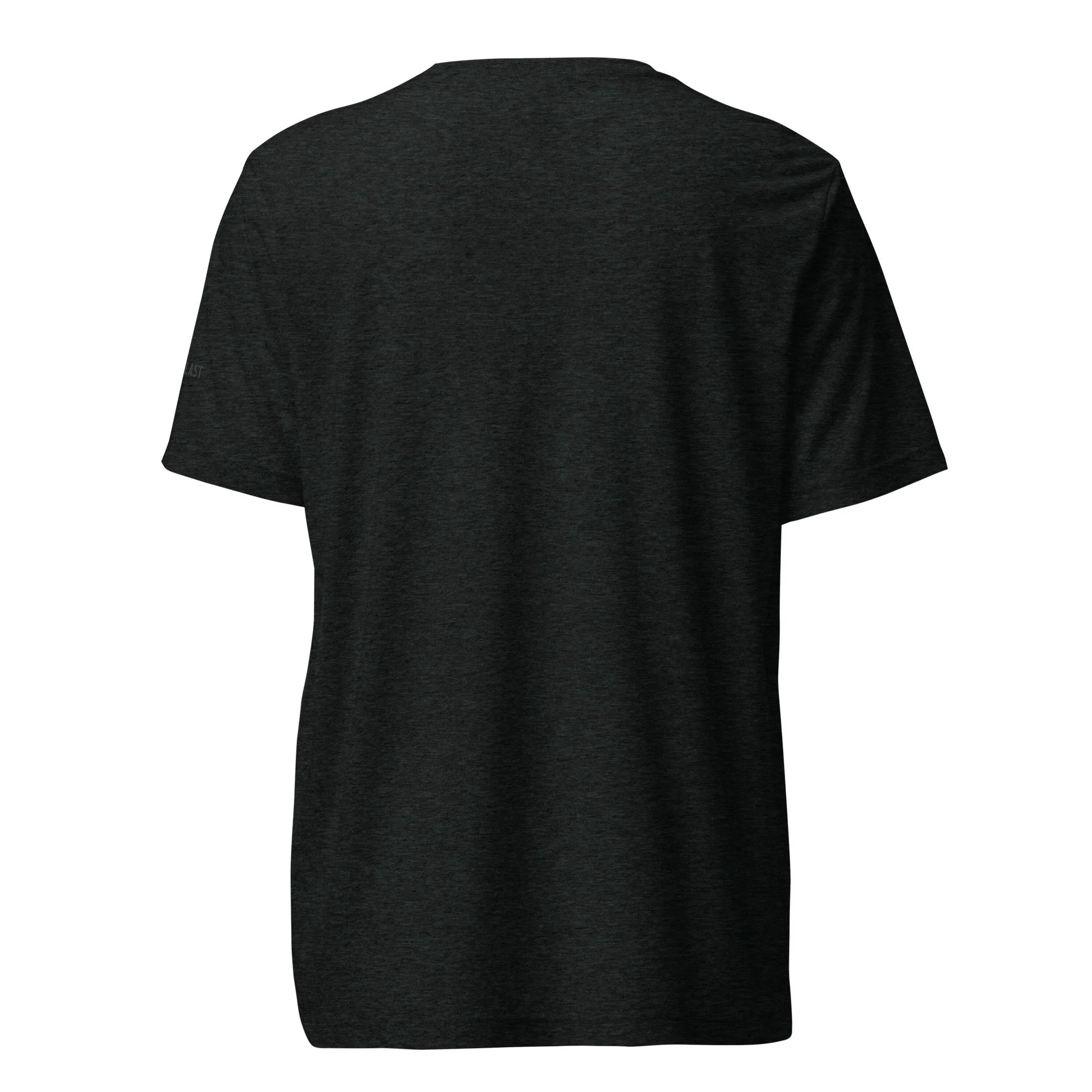 unisex-tri-blend-t-shirt-charcoal-black-triblend-back-69e2cc21c6b7d.jpg