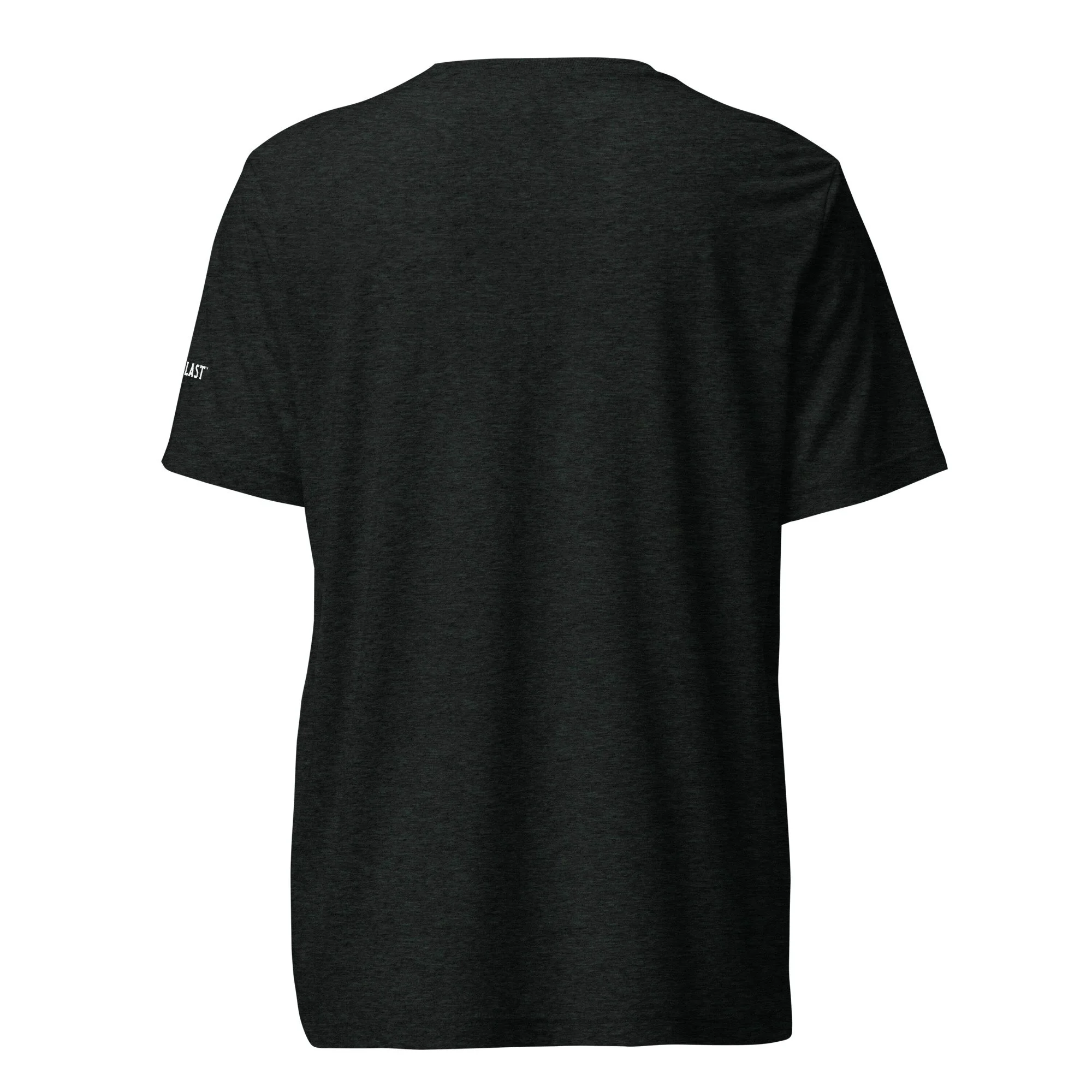 unisex-tri-blend-t-shirt-charcoal-black-triblend-back-69e4f401b8b43.jpg