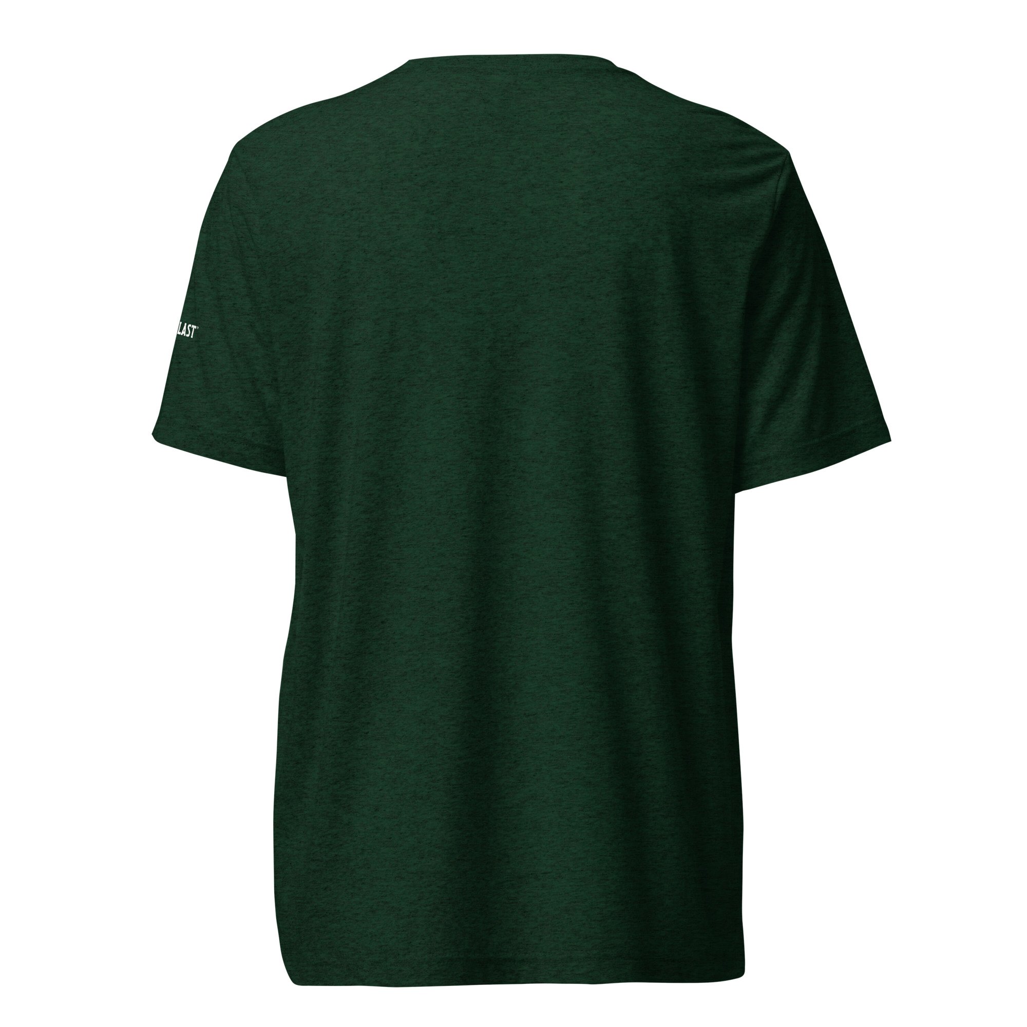 unisex-tri-blend-t-shirt-emerald-triblend-back-69e7a6133309b.jpg