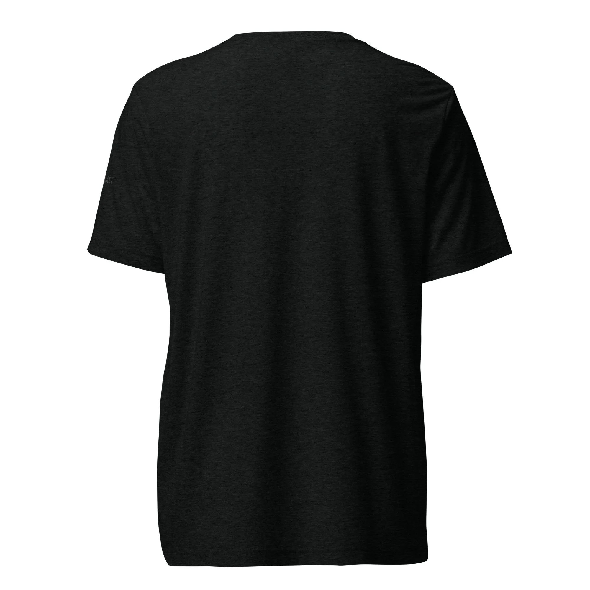 PaintBlast PickleBall Solid Black Unisex T-Shirt - back view.jpg