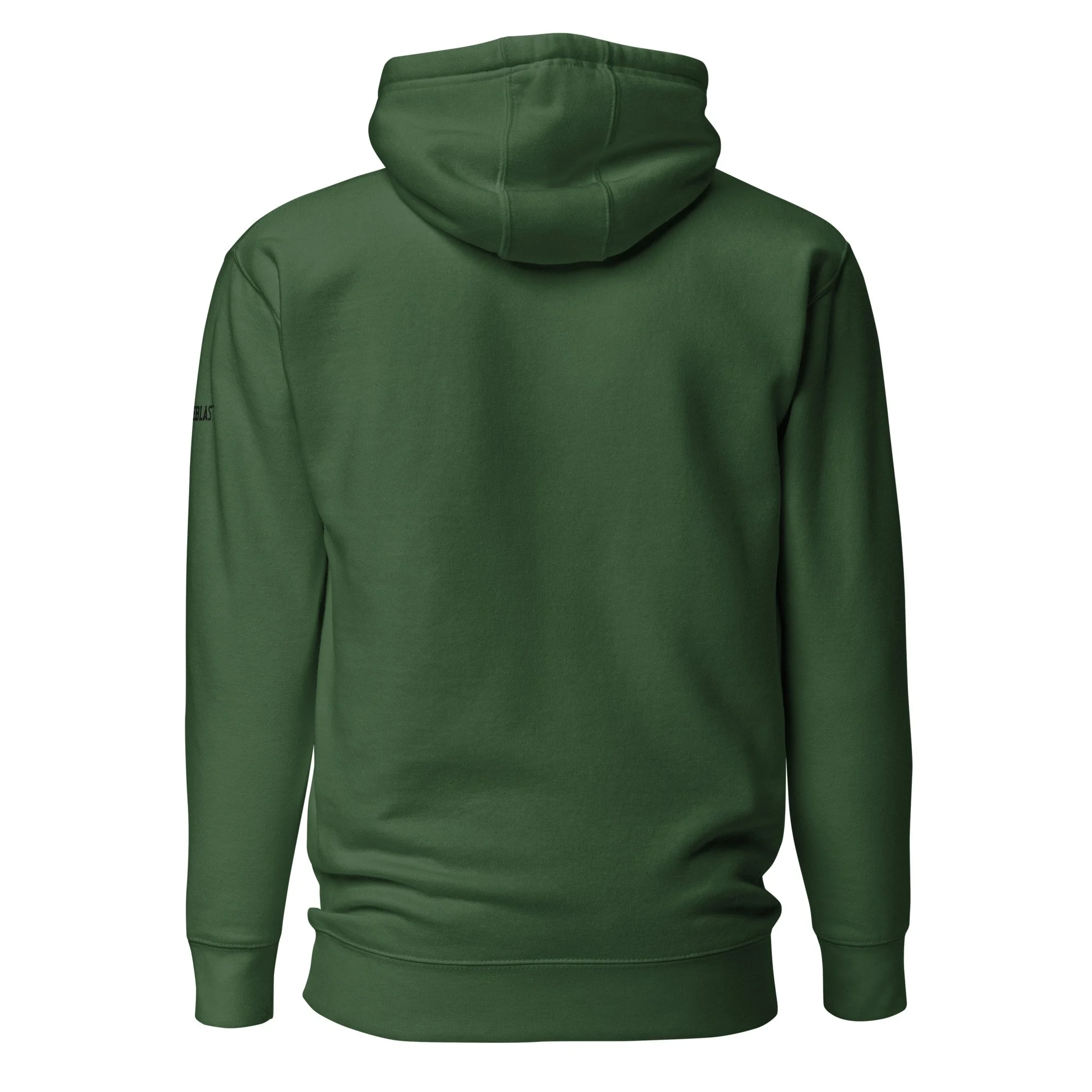 PaintBlast PickleBall Emerald Unisex Hoodie - back view.jpg