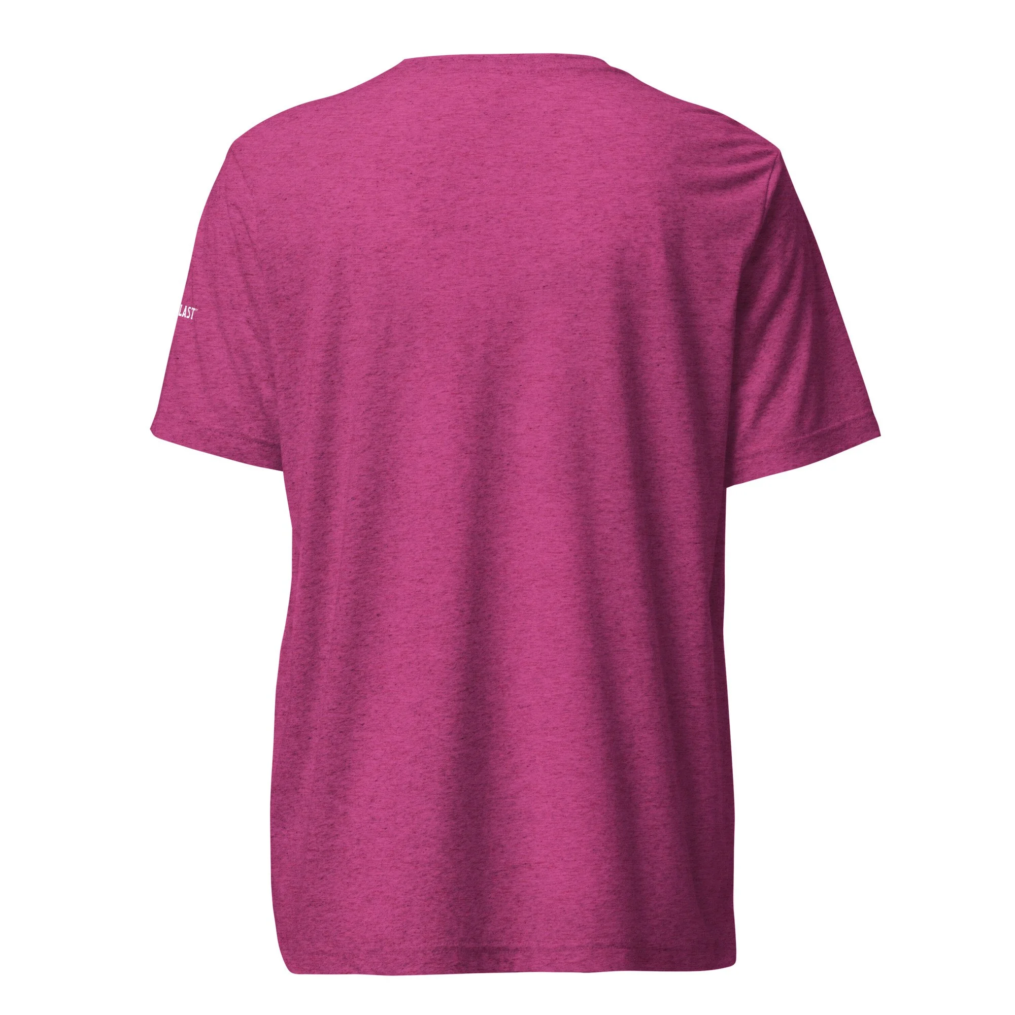 unisex-tri-blend-t-shirt-berry-triblend-back-69ea9d93aefa1.jpg