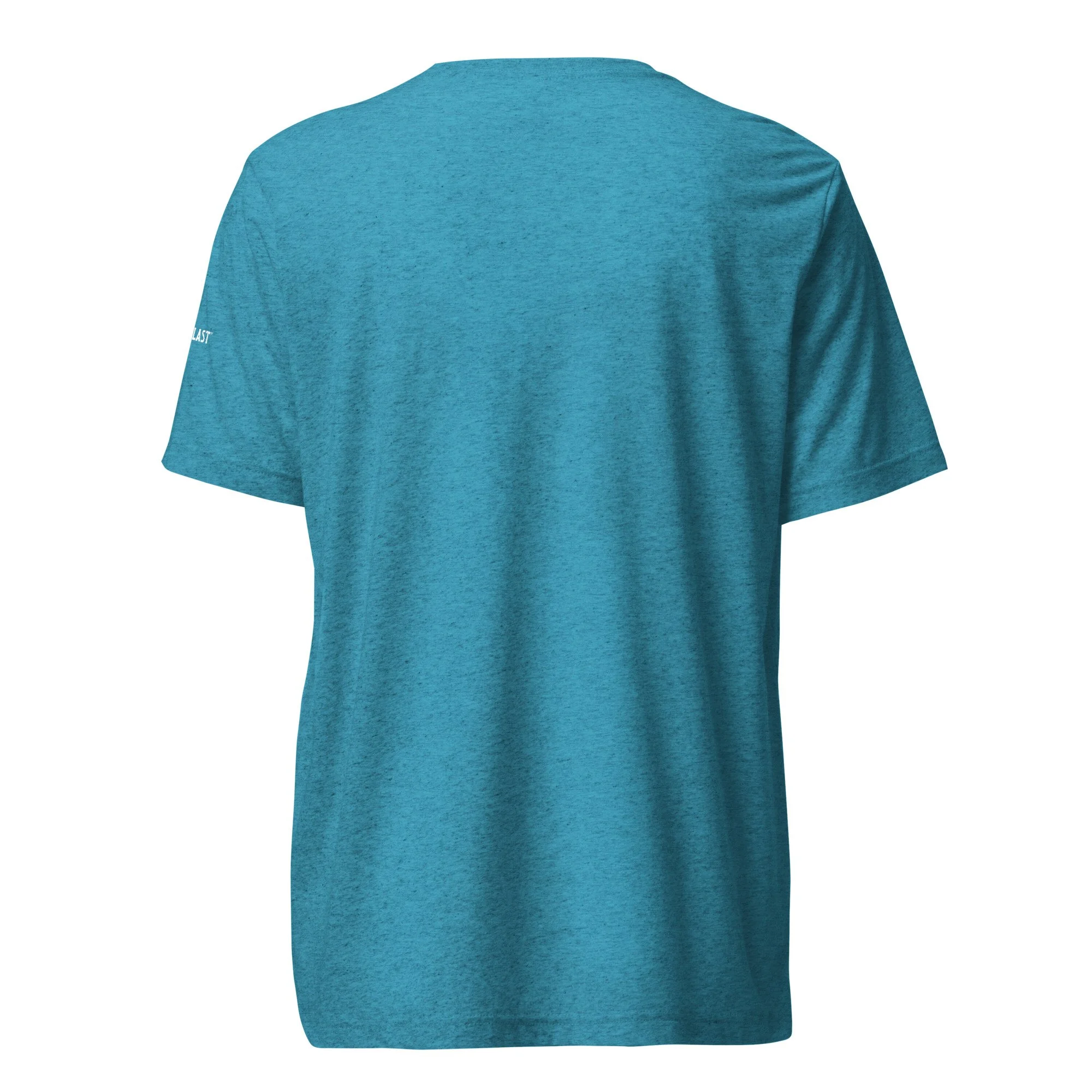 unisex-tri-blend-t-shirt-aqua-triblend-back-69ea9d93e92d1.jpg