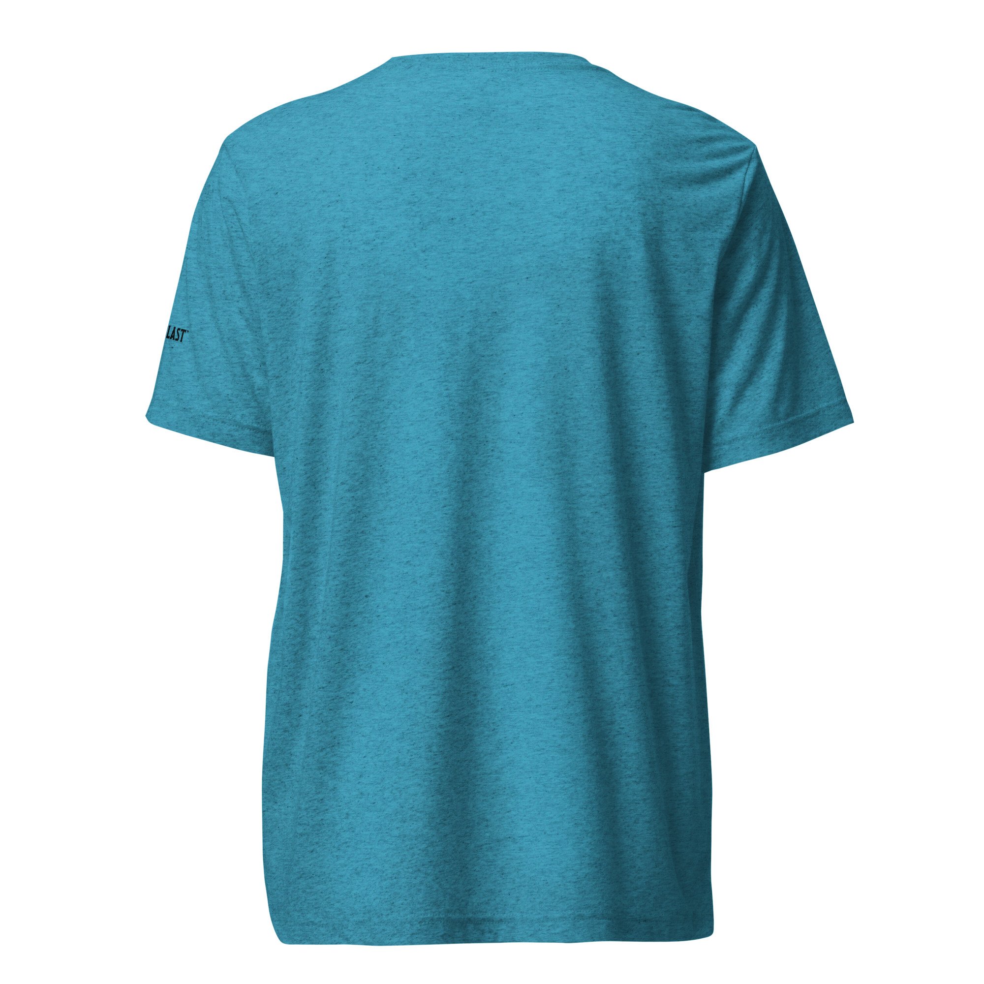 unisex-tri-blend-t-shirt-aqua-triblend-back-69f26d0d0440d.jpg