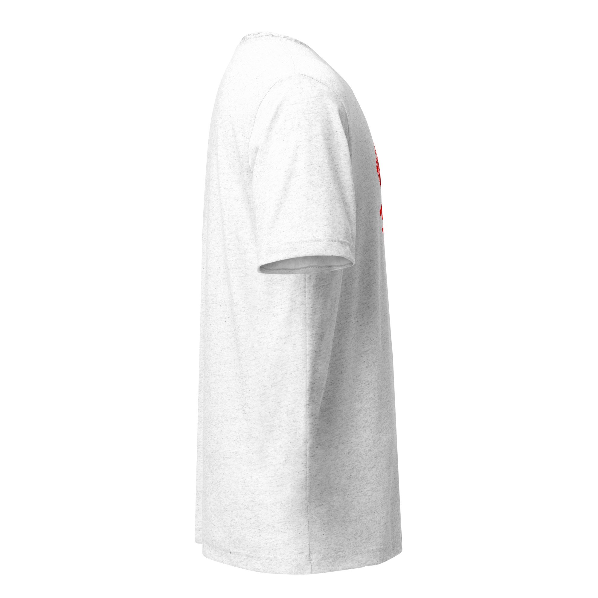 unisex-tri-blend-t-shirt-solid-white-triblend-right-6a907a8e5009a.jpg
