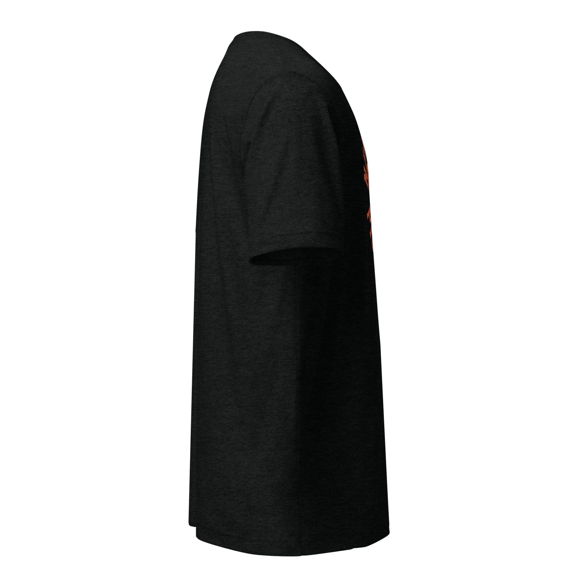 unisex-tri-blend-t-shirt-solid-black-triblend-right-6a97639cdd805.jpg
