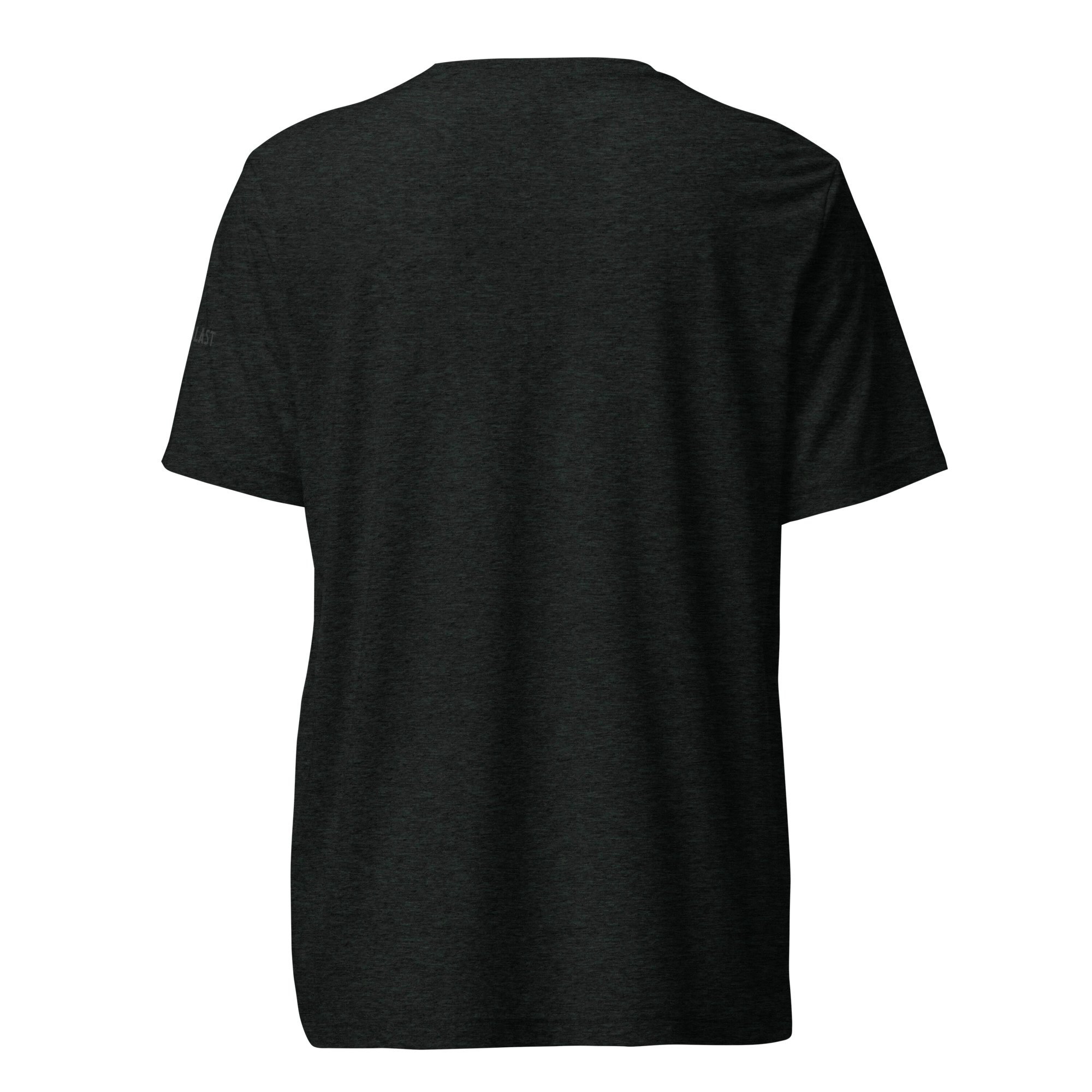 unisex-tri-blend-t-shirt-charcoal-black-triblend-back-6a99c7737c33d.jpg