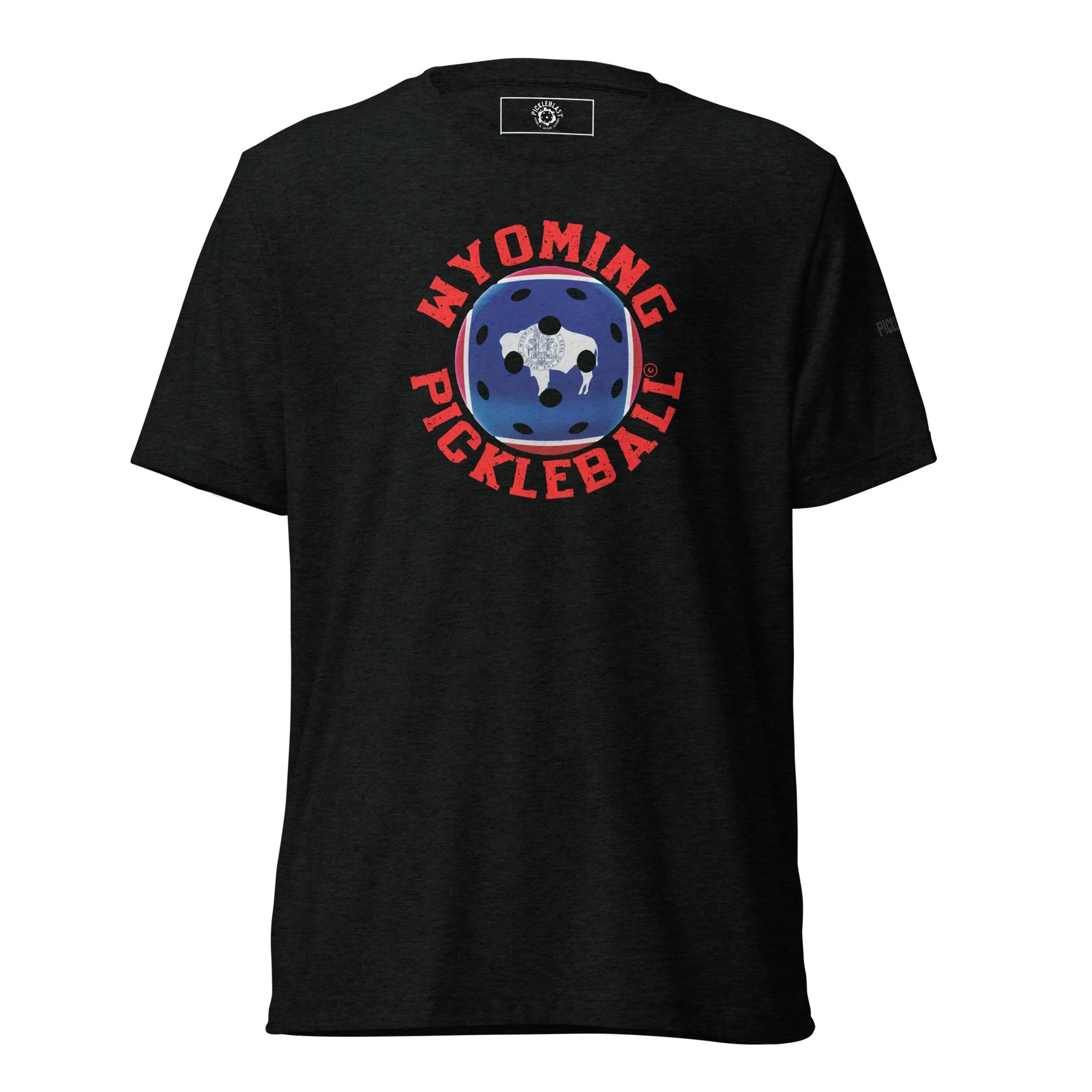 unisex-tri-blend-t-shirt-solid-black-triblend-front-6aa46383c35d4.jpg