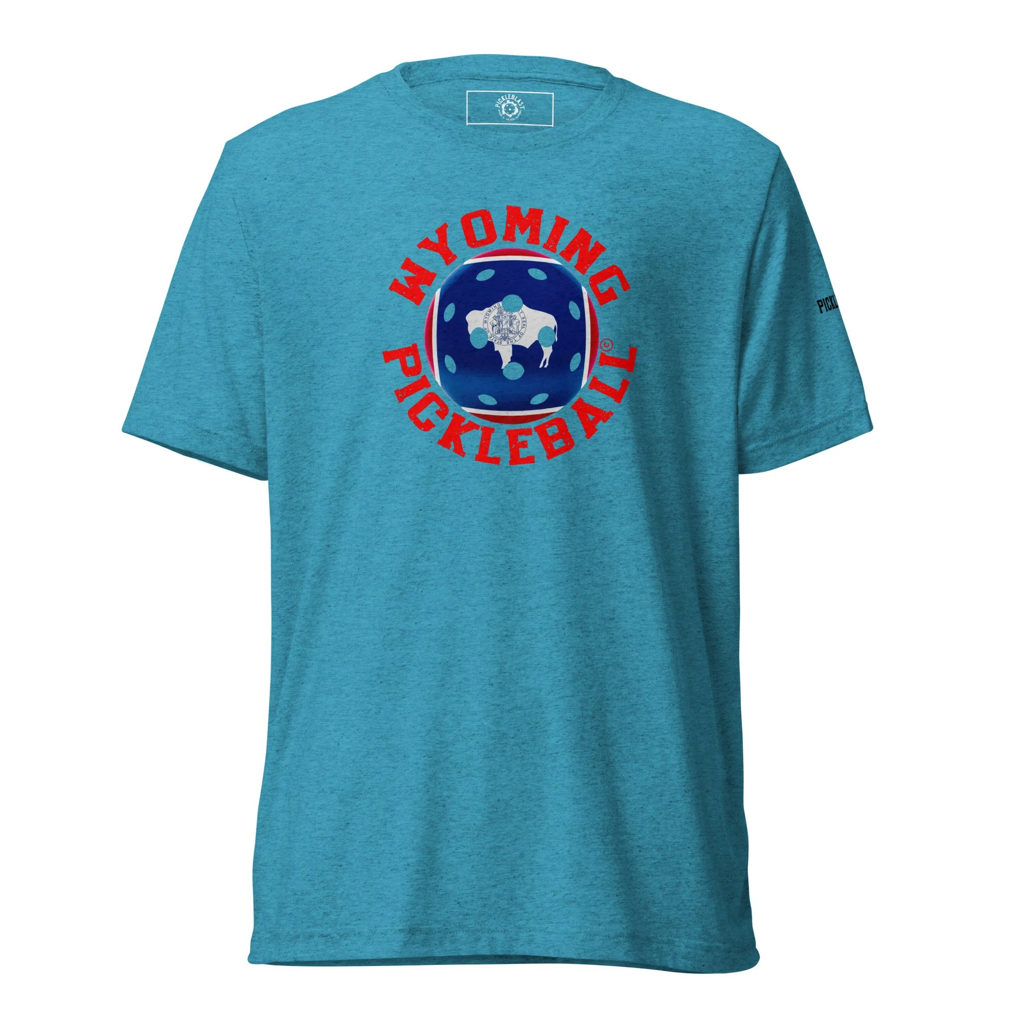 unisex-tri-blend-t-shirt-aqua-triblend-front-6aa46383c597f.jpg