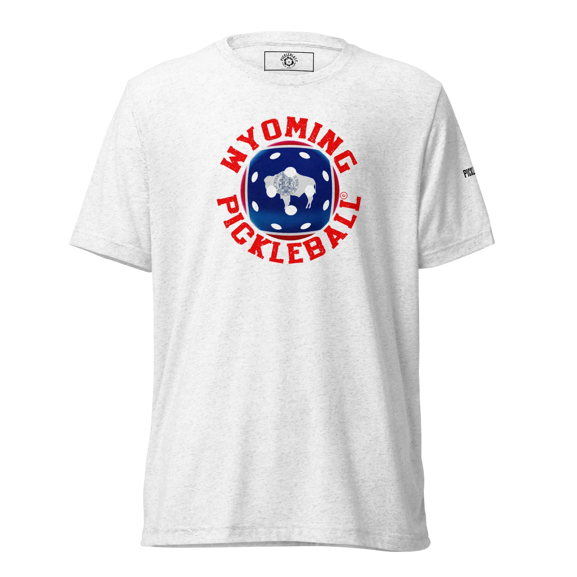 unisex-tri-blend-t-shirt-solid-white-triblend-front-6aa46383ce756.jpg