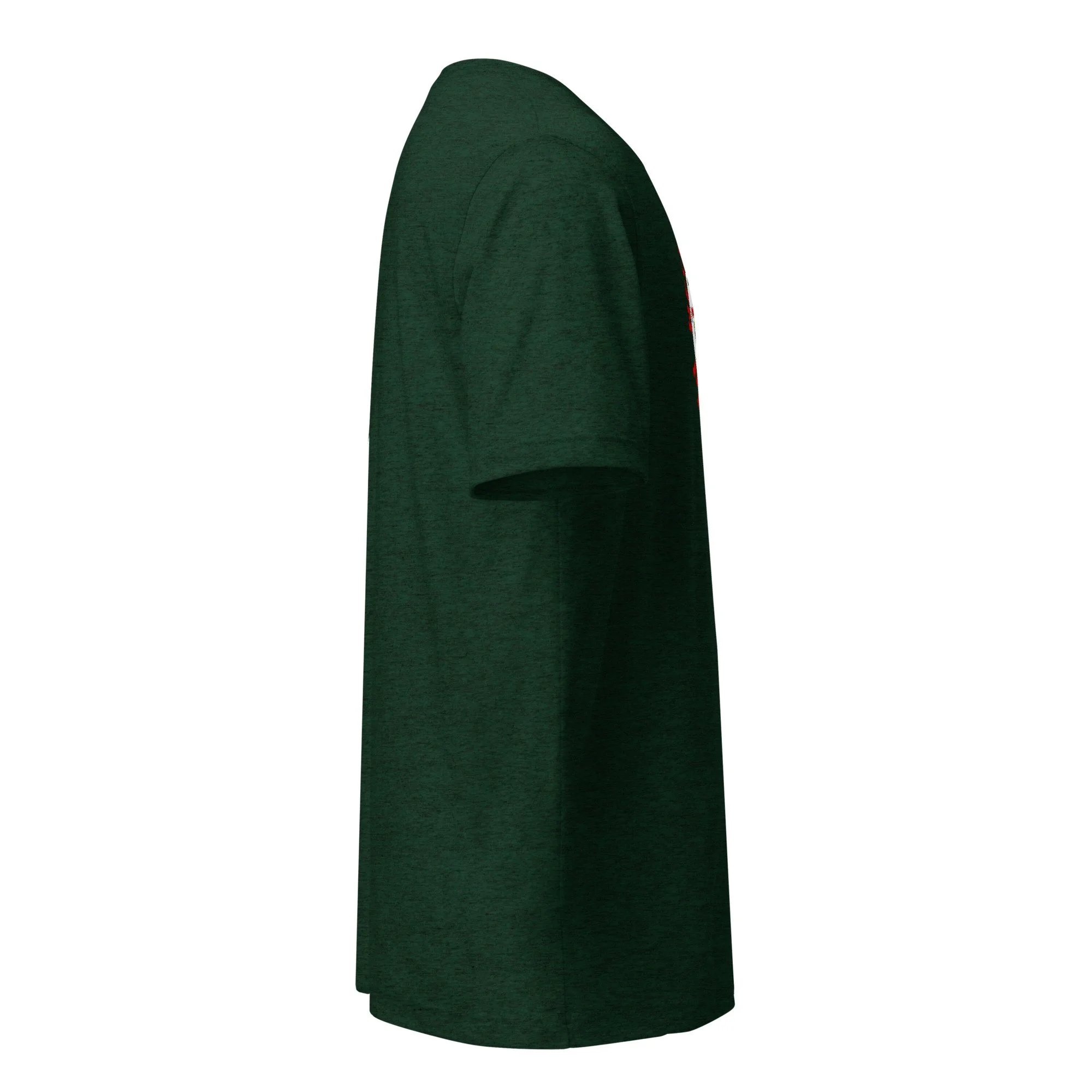 unisex-tri-blend-t-shirt-emerald-triblend-right-6aaafbaf6d912.jpg