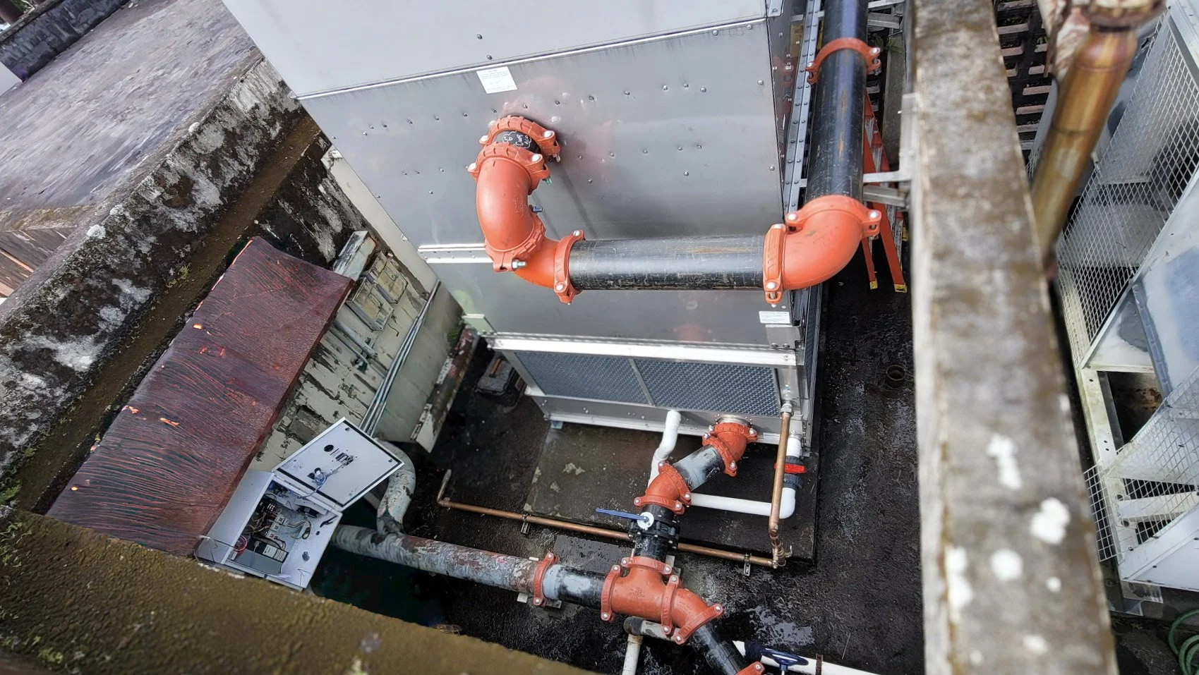 Image (vitalic 2).jpg