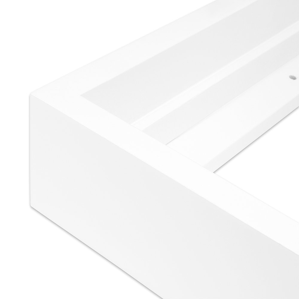white_15_bold_web.jpg