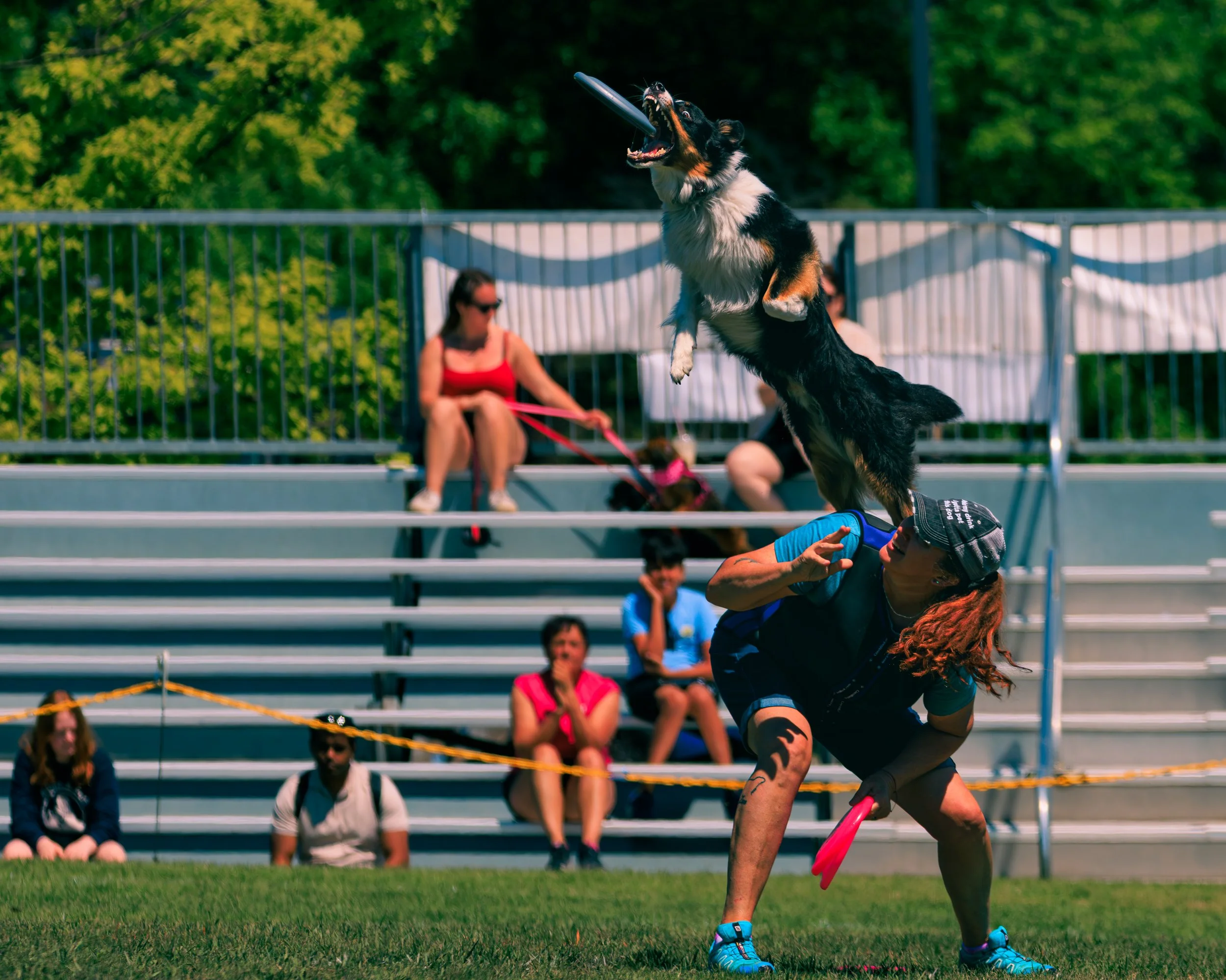 2026FrankenmuthDogBowl_Batch1-7.jpg