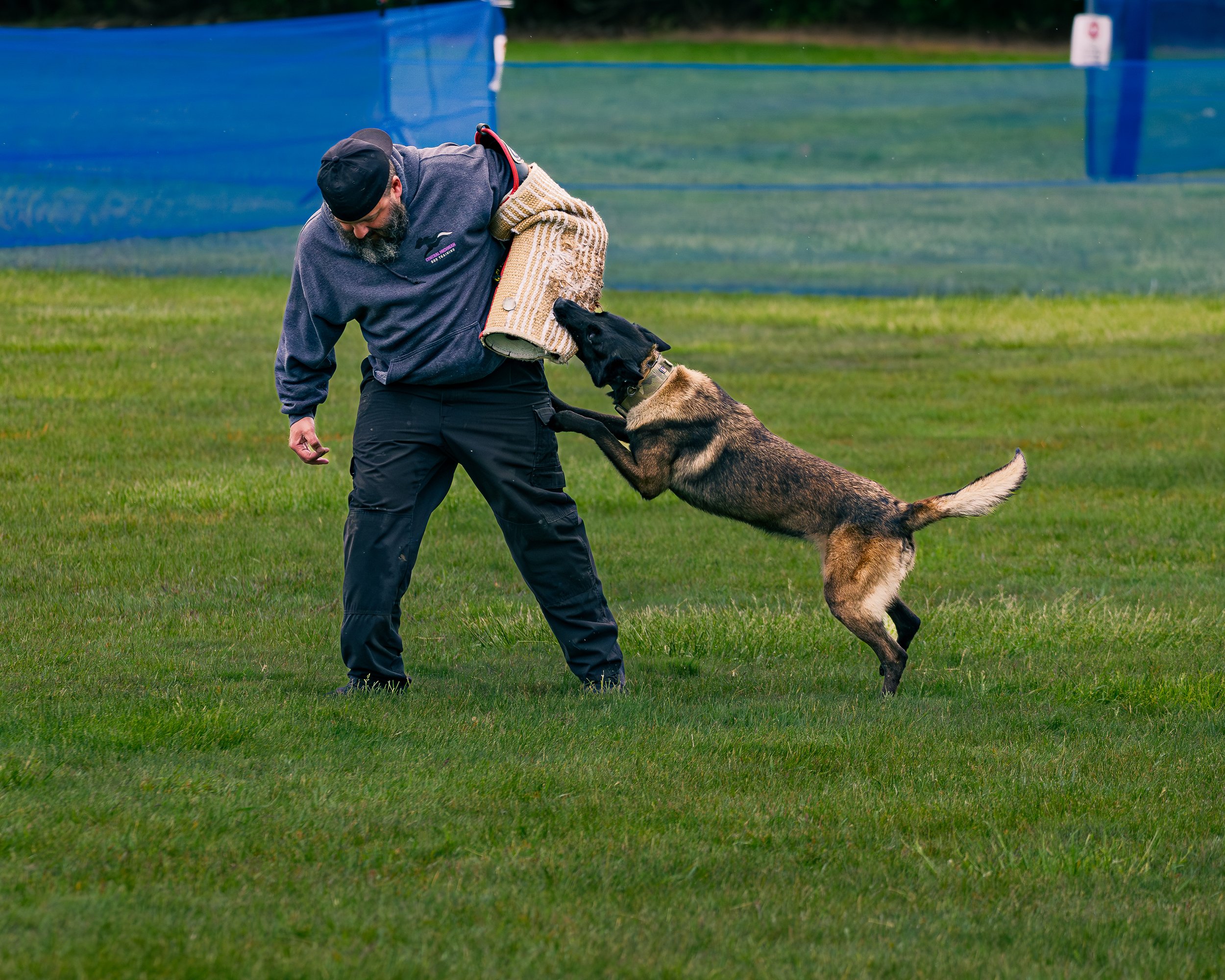 FrankenmuthDogBowl_k9Demo-9.jpg