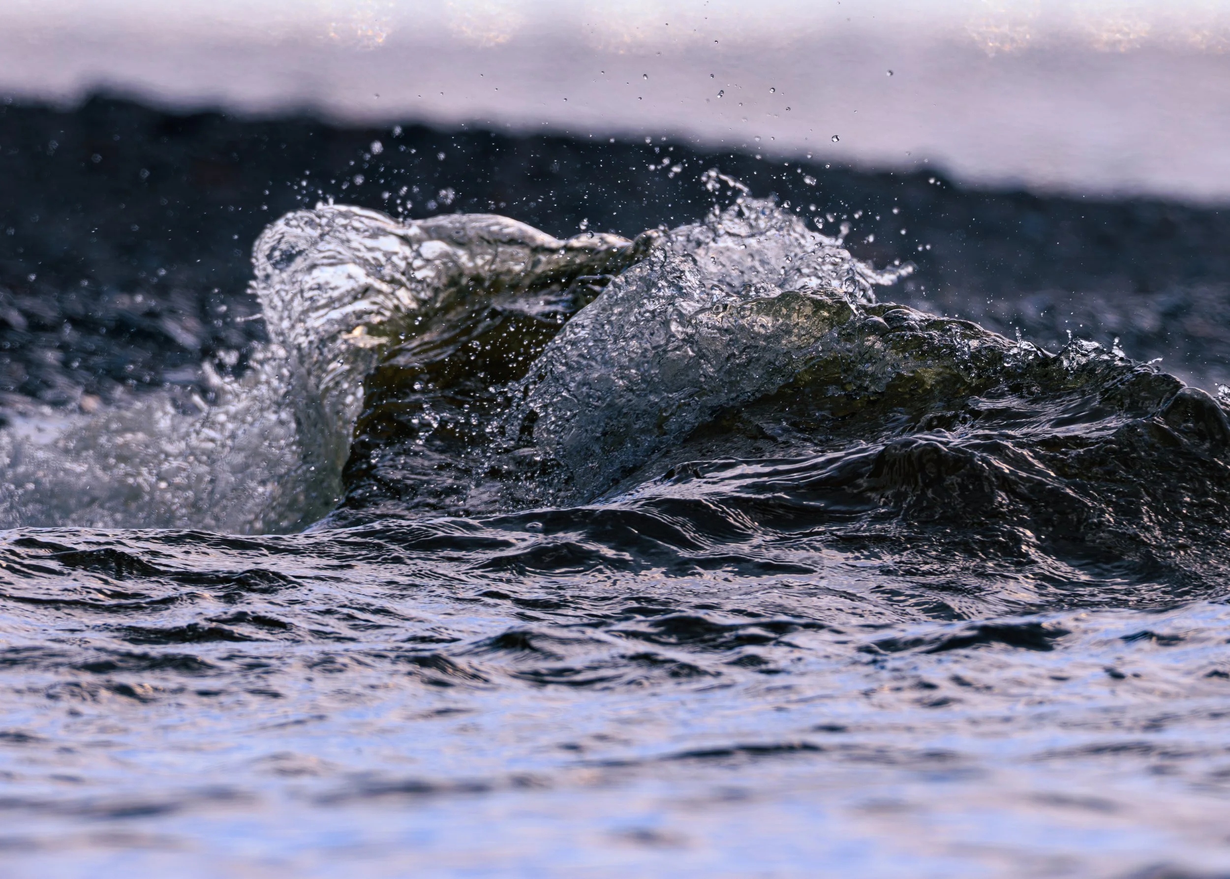 CloseFocusPorcupineMountainsStatePark-12.jpg