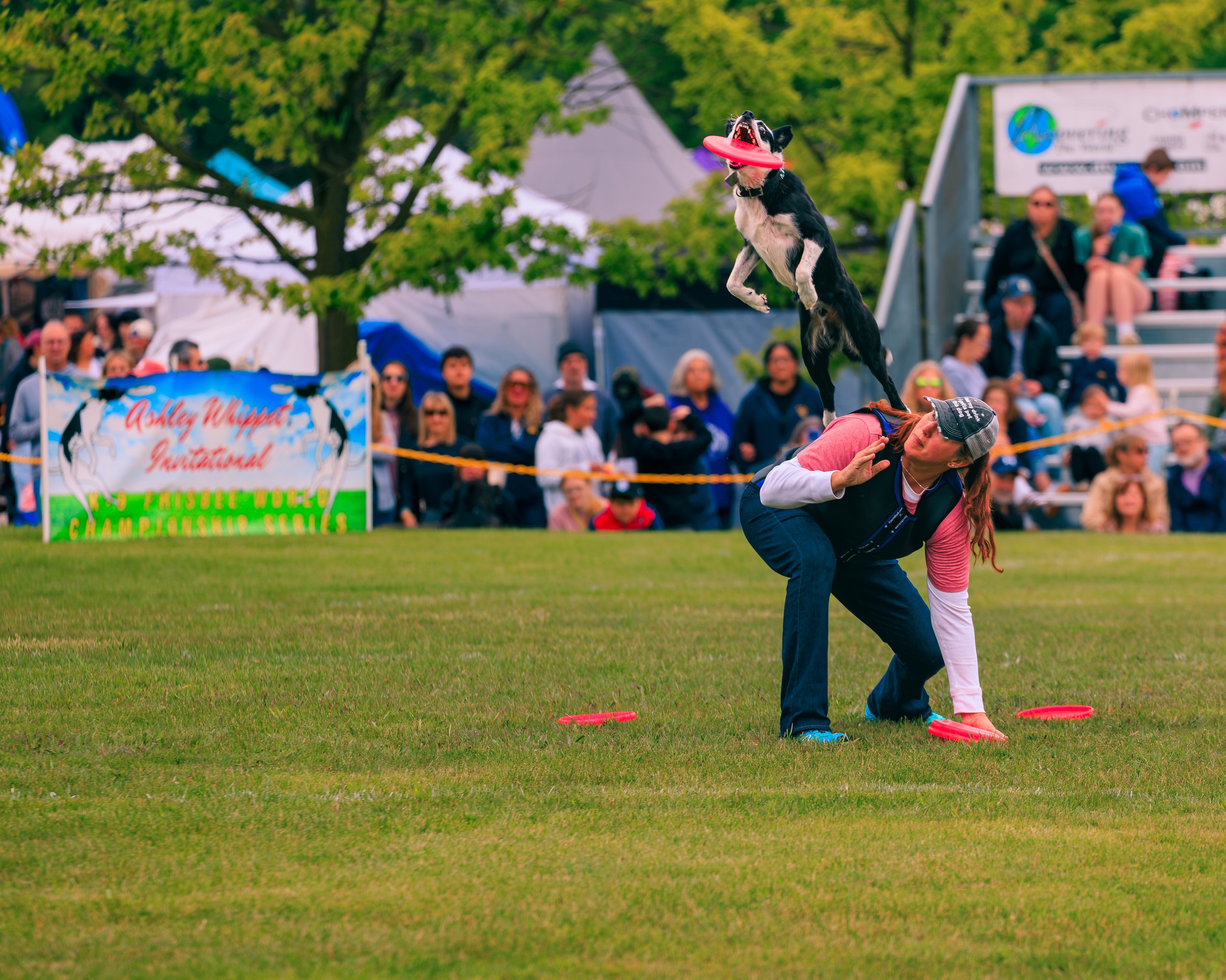 FrankenmuthDogBowl26_Batch5-1.jpg
