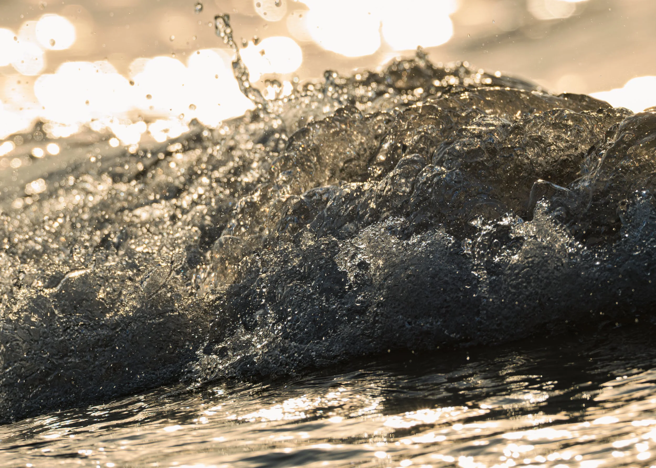 CloseFocusPorcupineMountainsStatePark-14.jpg