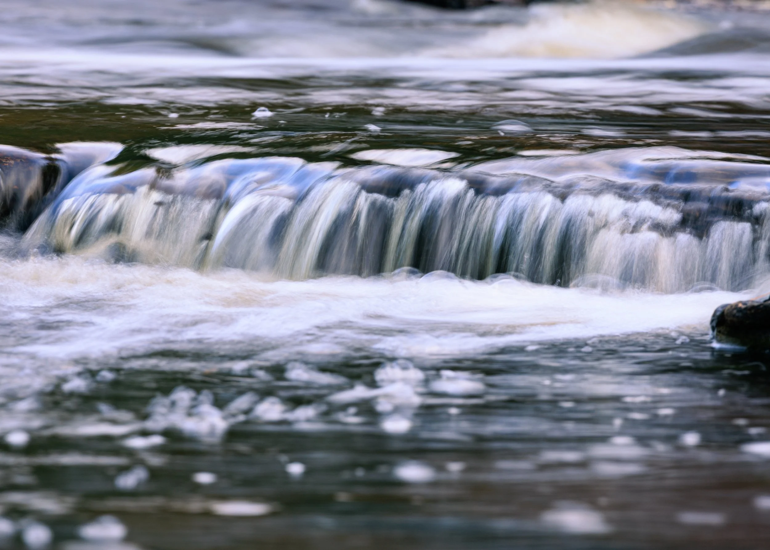 CloseFocusPorcupineMountainsStatePark-16.jpg