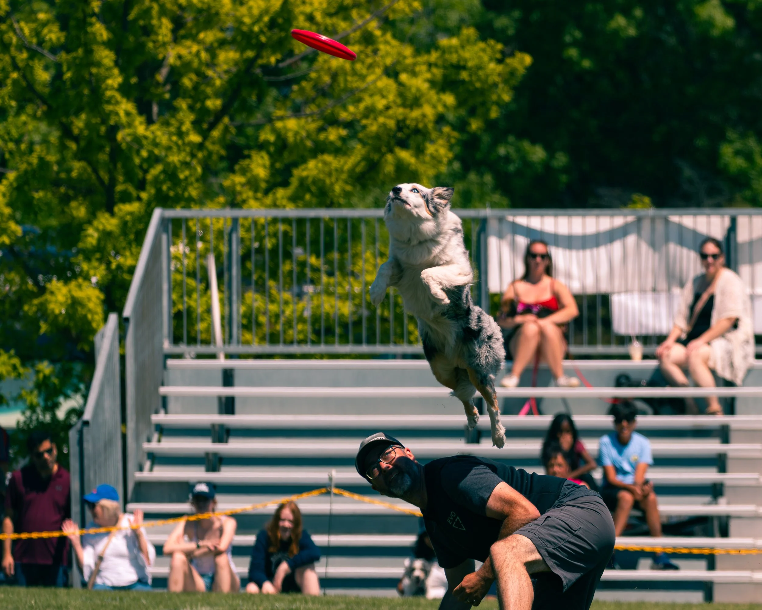 2026FrankenmuthDogBowl_Batch1-8.jpg
