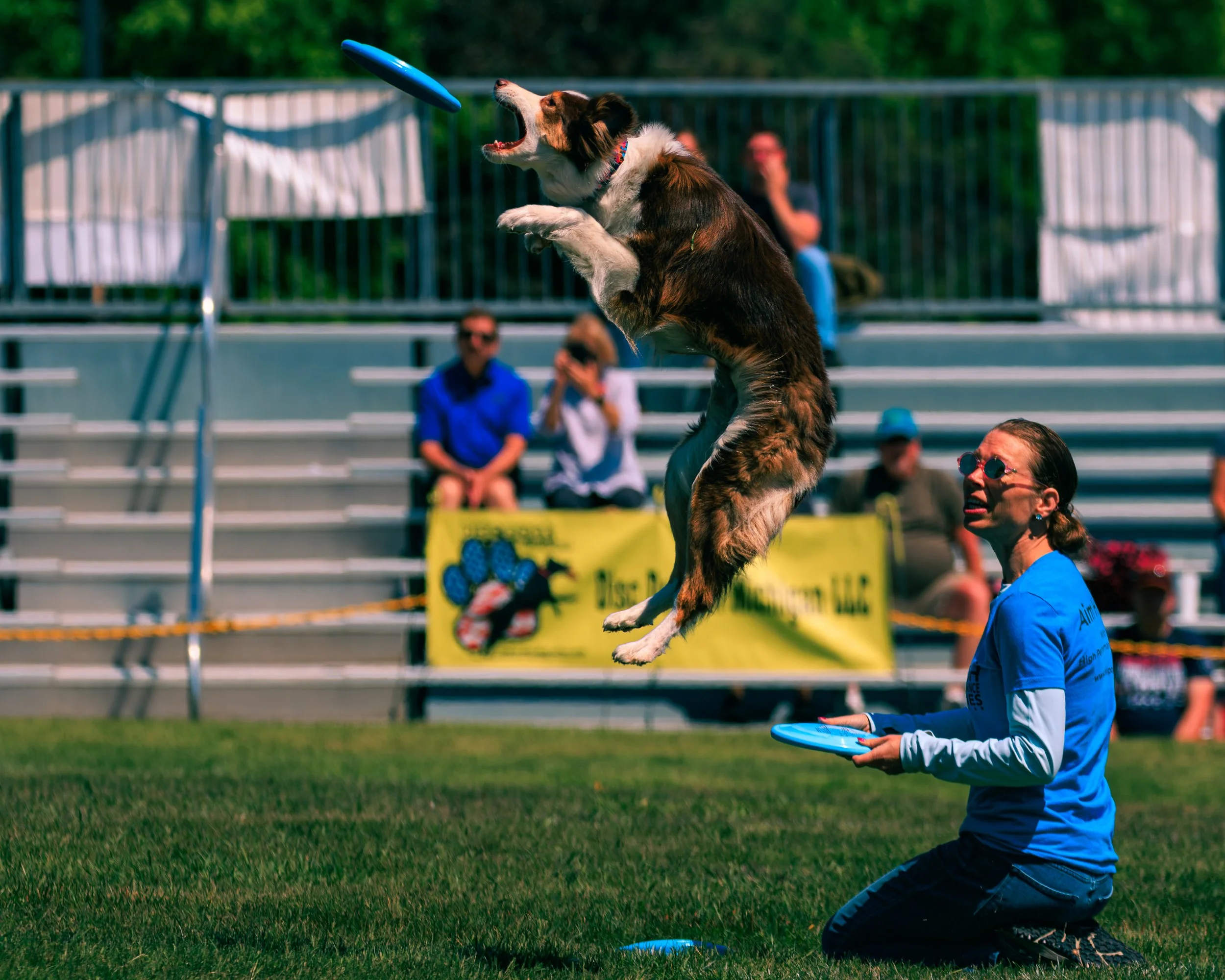 2026FrankenmuthDogBowl_Batch1-4.jpg