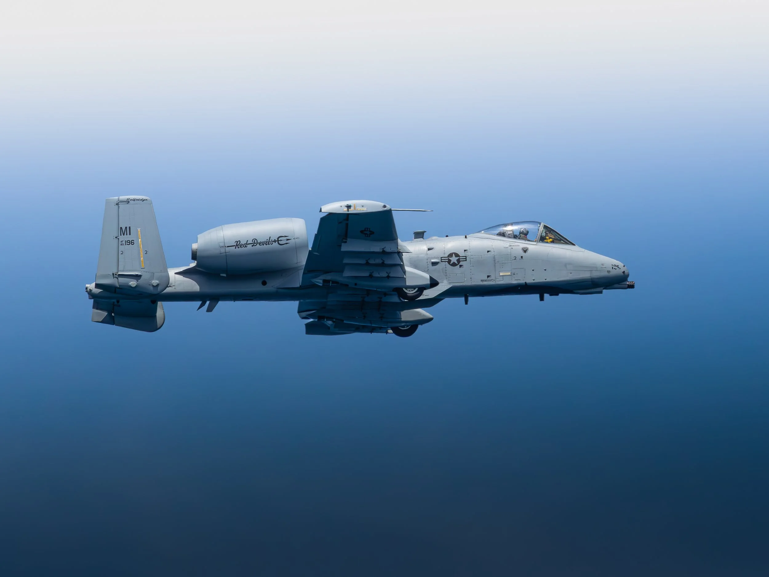 Michigan Air National Guard 107th Fighter Squadron A-10 "Warthog"