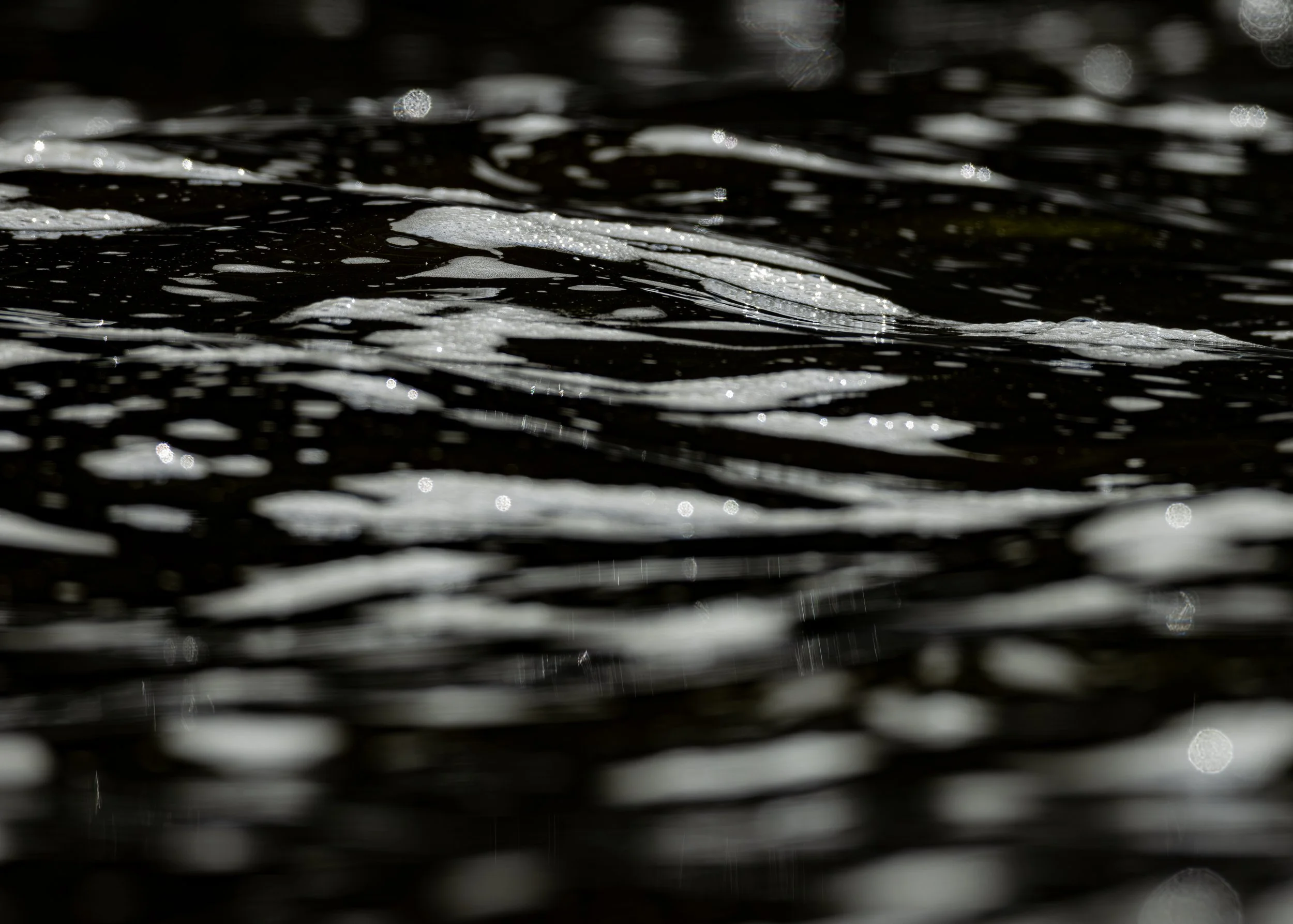 CloseFocusPorcupineMountainsStatePark-11.jpg
