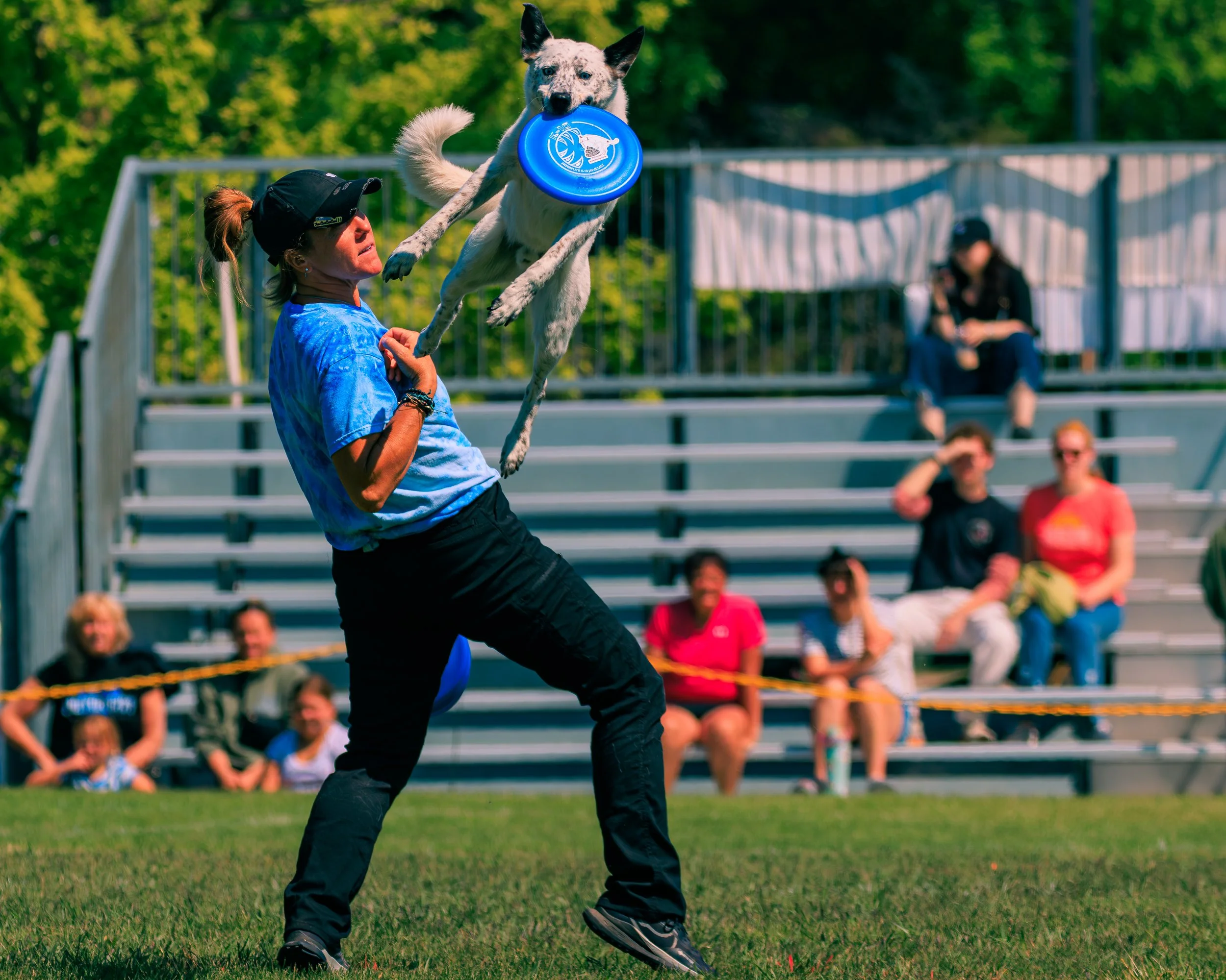 2026FrankenmuthDogBowl_Batch1-1.jpg