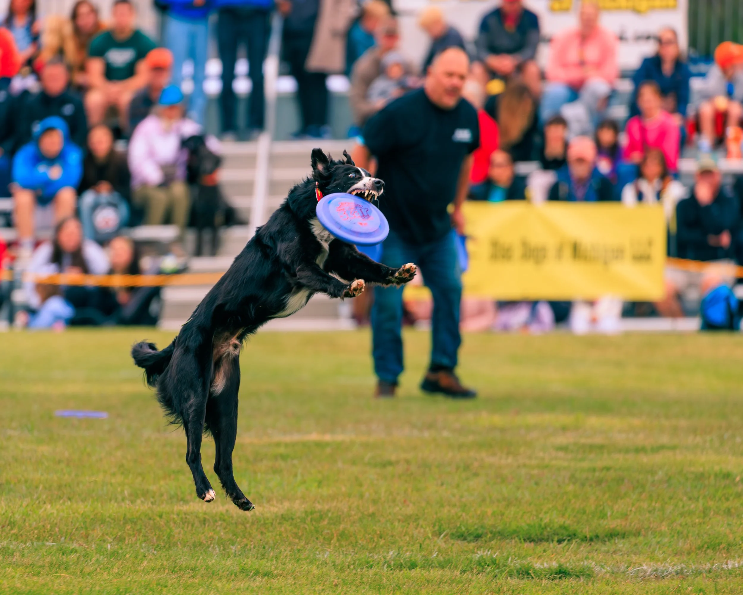 FrankenmuthDogBowl26_Batch5-7.jpg