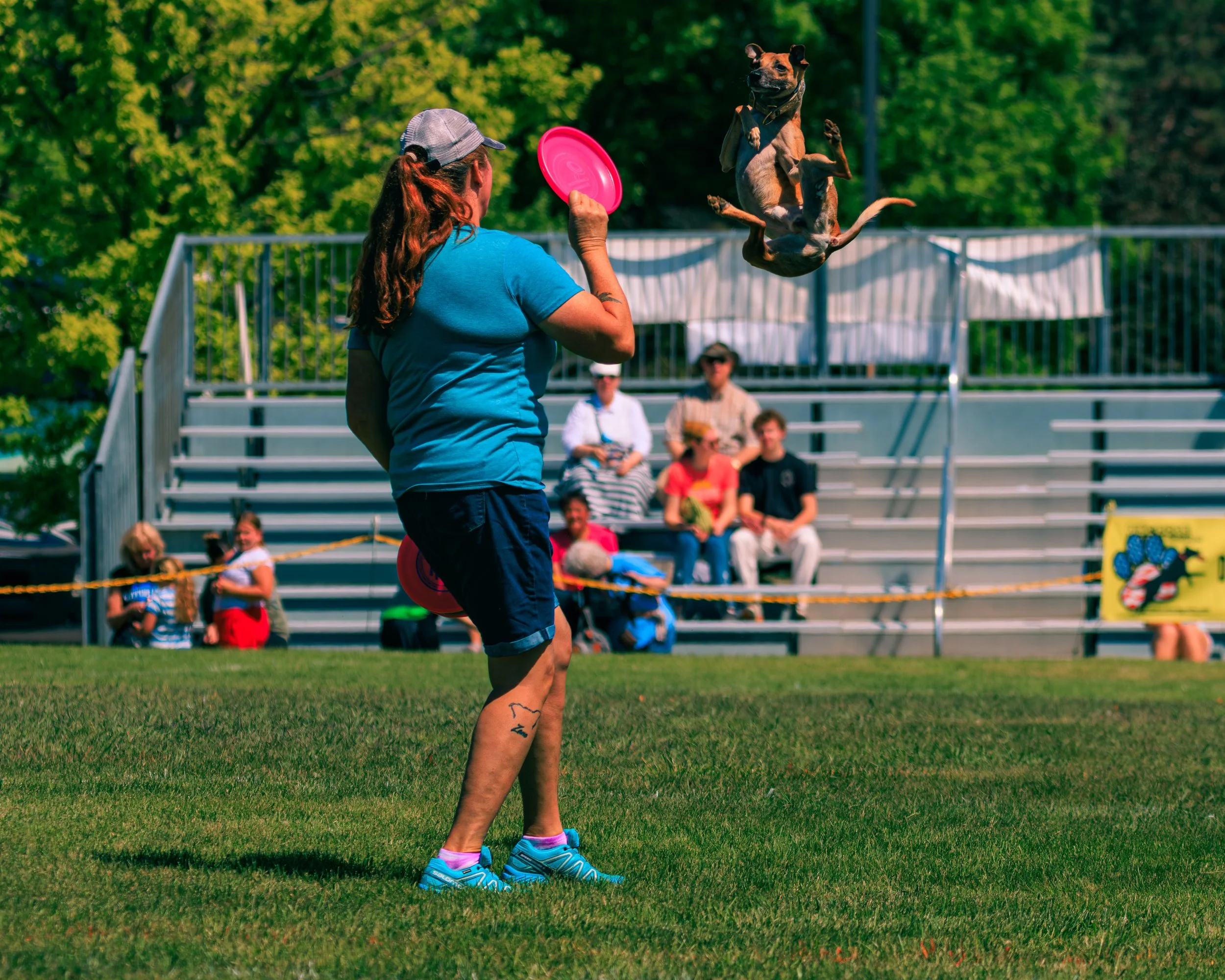 FrankenmuthDogBowl26_Batch5-9.jpg