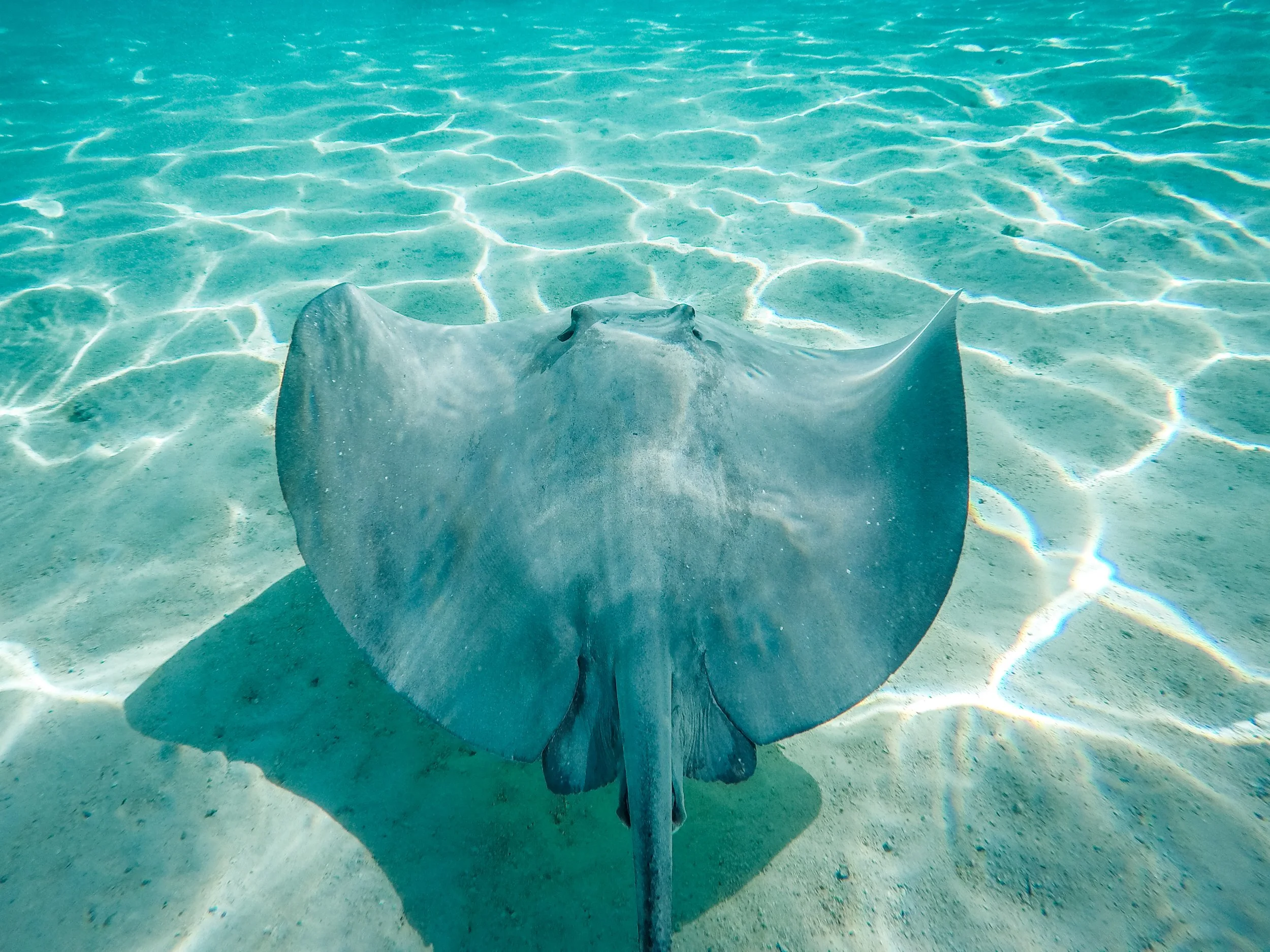 UNDERWATER.jpg