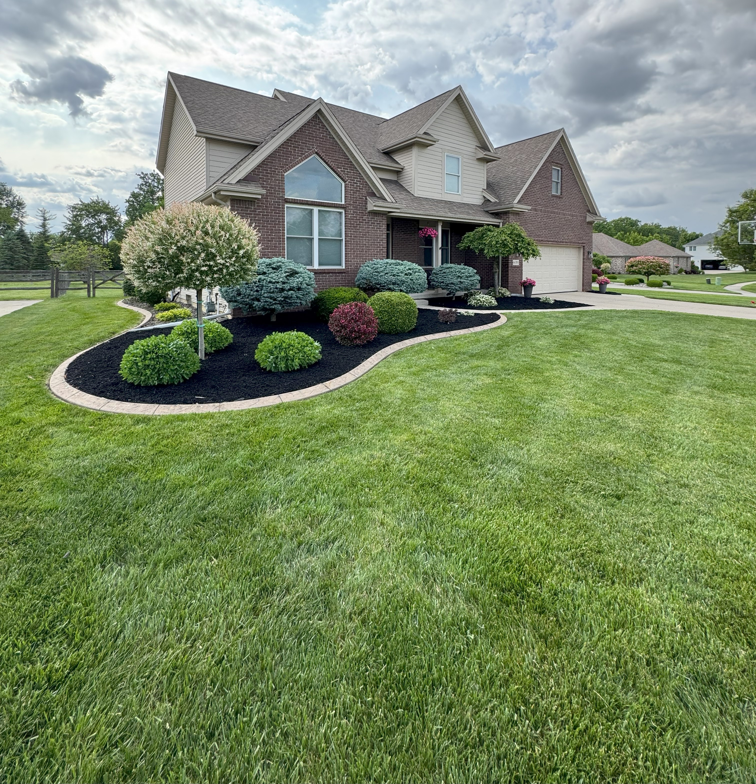 freshly mowed lawn in Sylvania Ohio