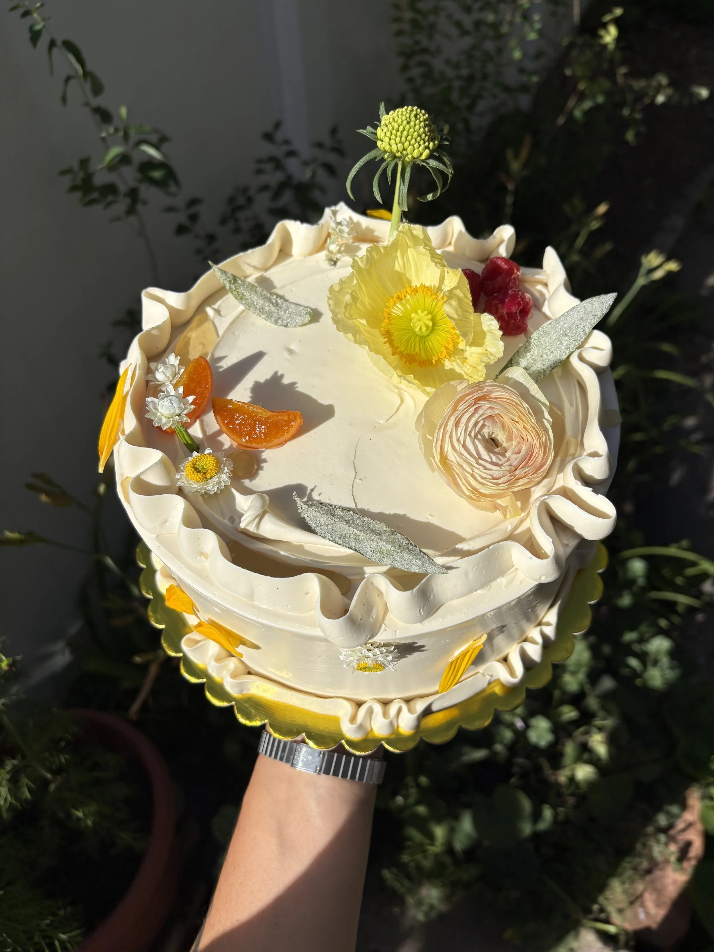 GF sorghum olive oil chiffon / colorado apricot jam / lemon verbena custard / honey swiss meringue buttercream // for mad agriculture