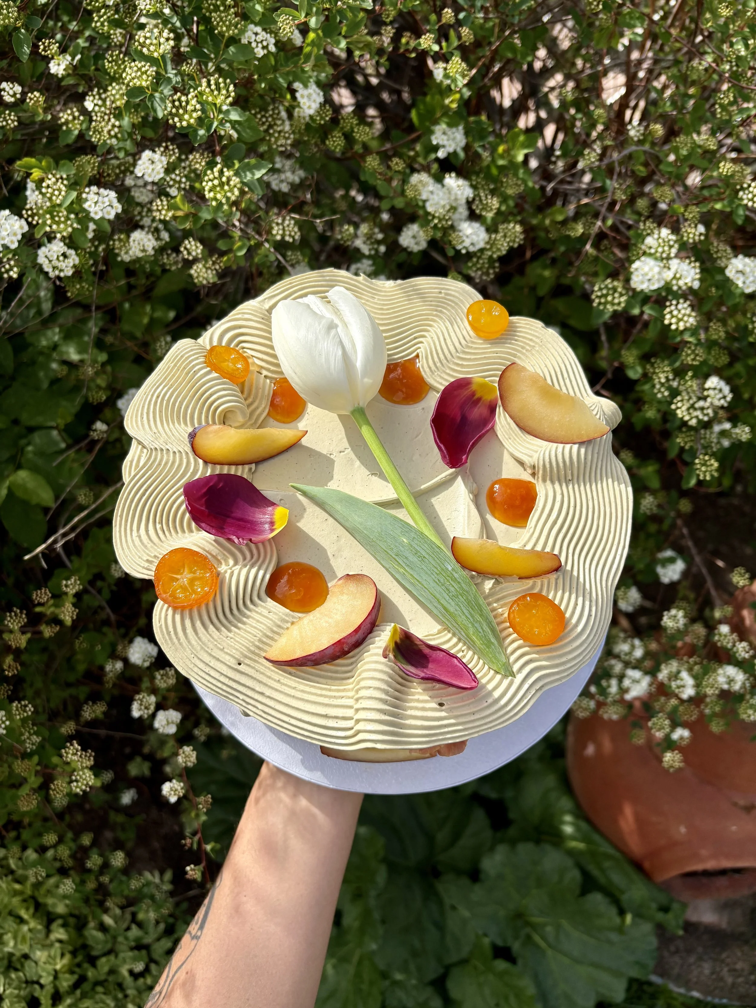 yecora rojo vanilla chiffon / apricot jam / creme fraiche vanilla custard / pistachio swiss meringue buttercream 