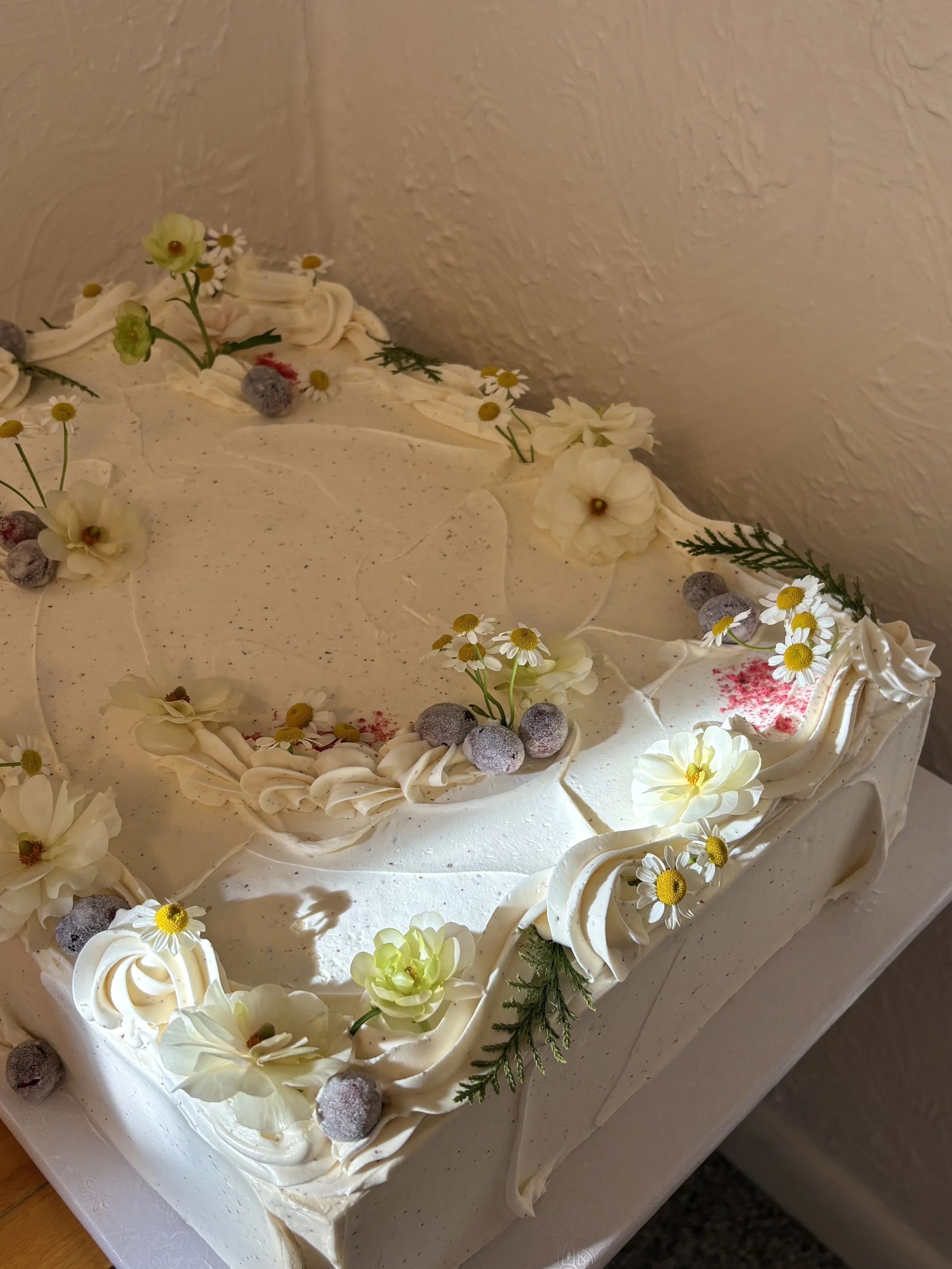 buttermilk brown sugar chiffon / raspberry jam / brown butter swiss meringue buttercream / crystallized cranberries