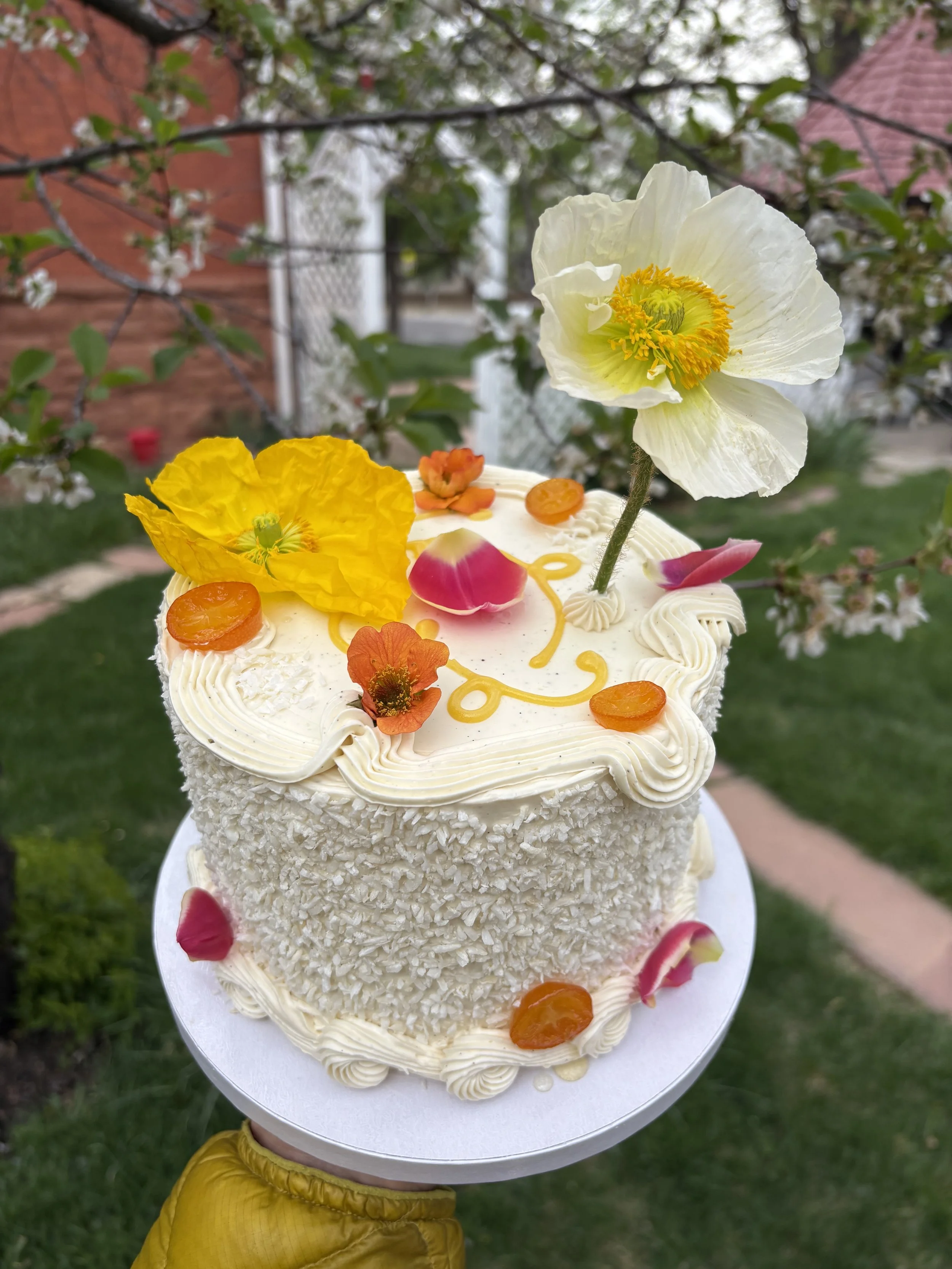 passionfruit olive oil chiffon / coconut & passionfruit soak / mango curd / whipped cream / coconut custard buttercream / candied kumquats