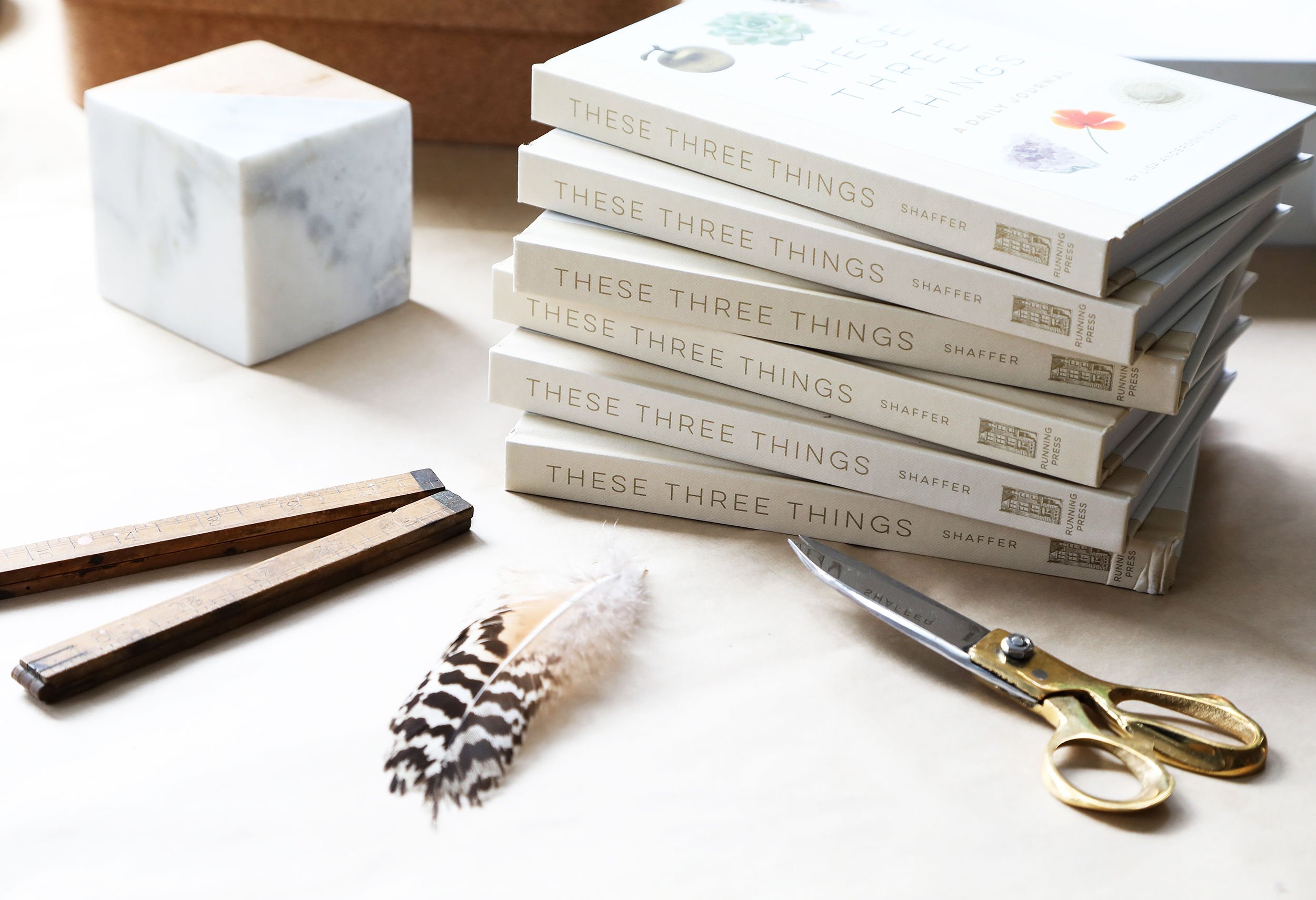 These Three Things Guided Journal: Hachette 2018. Photograph Melissa McArdle