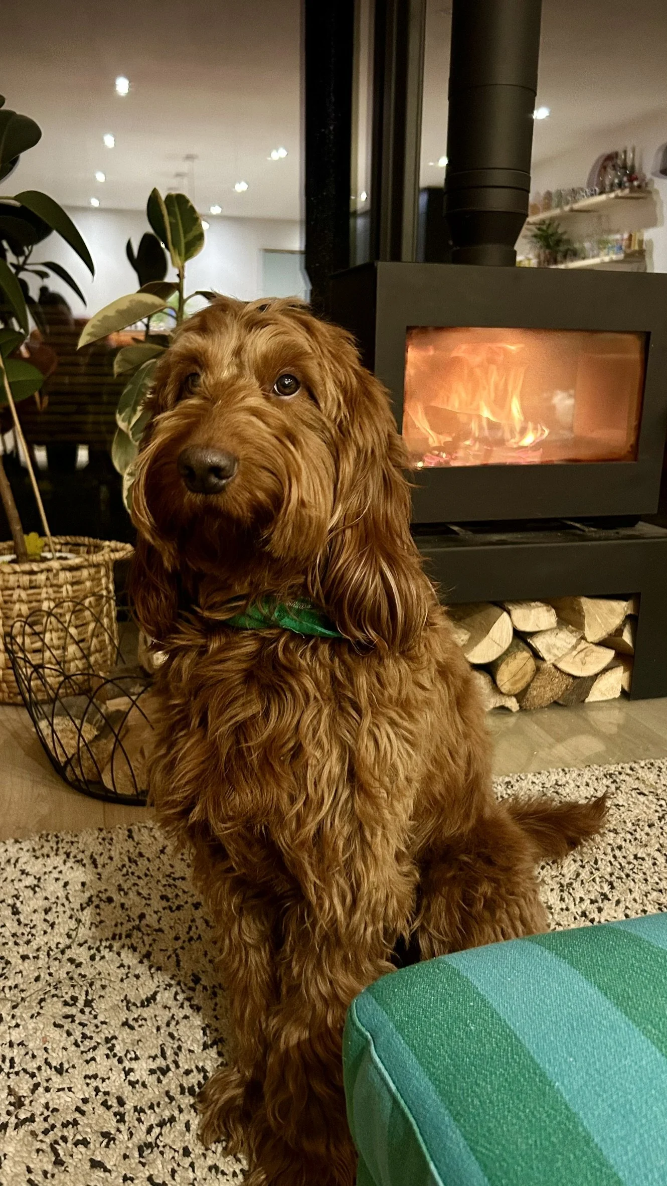 About to go to their first Michelin star restaurant in Singapore