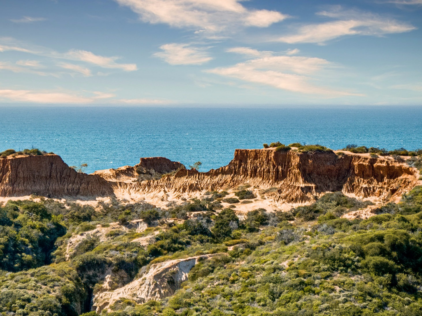 torrey-pines-broken-hill-aerial-spring-day-300dpi.png