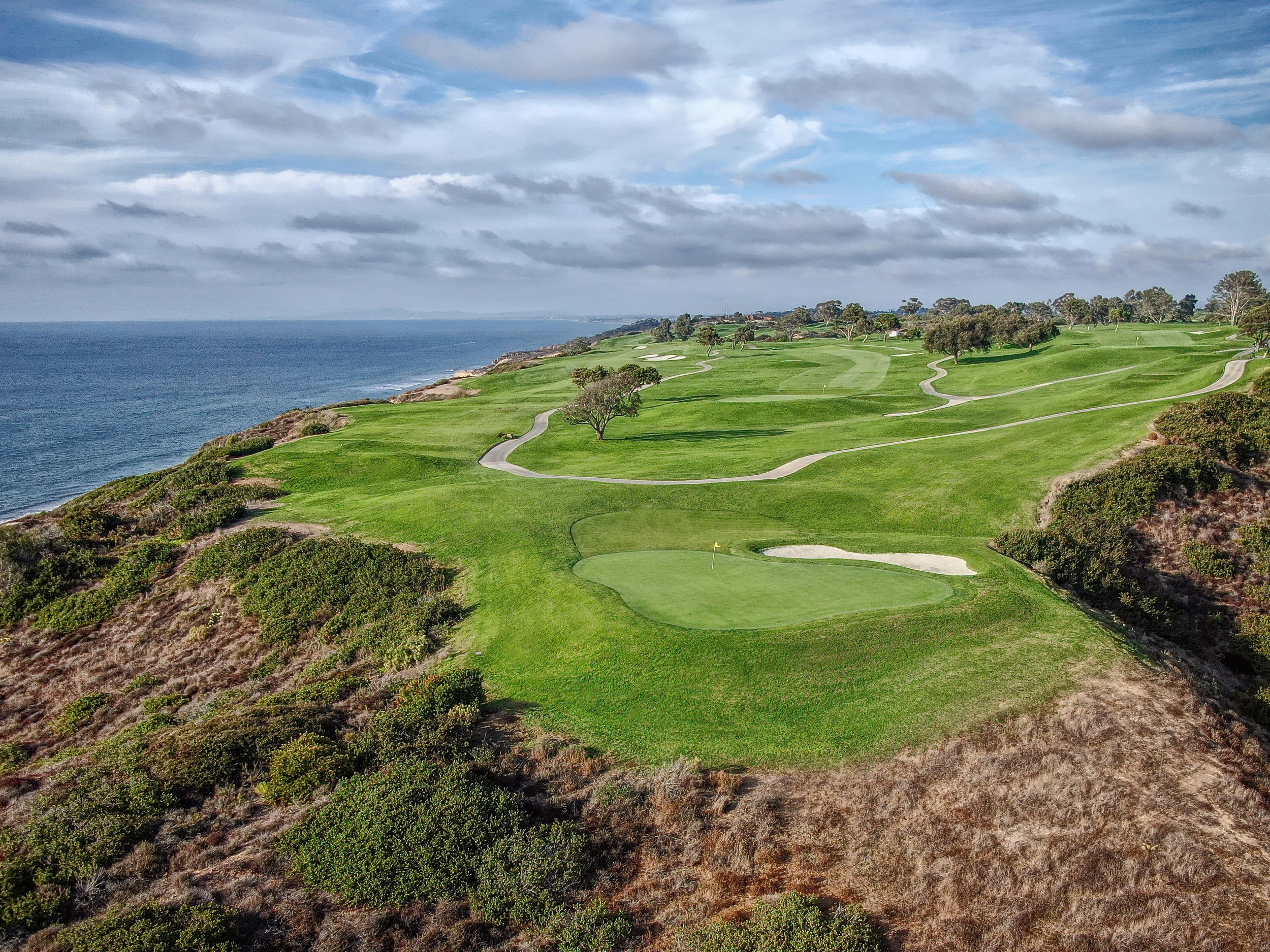 torrey-pines-south-3-aerial-looking-north.png