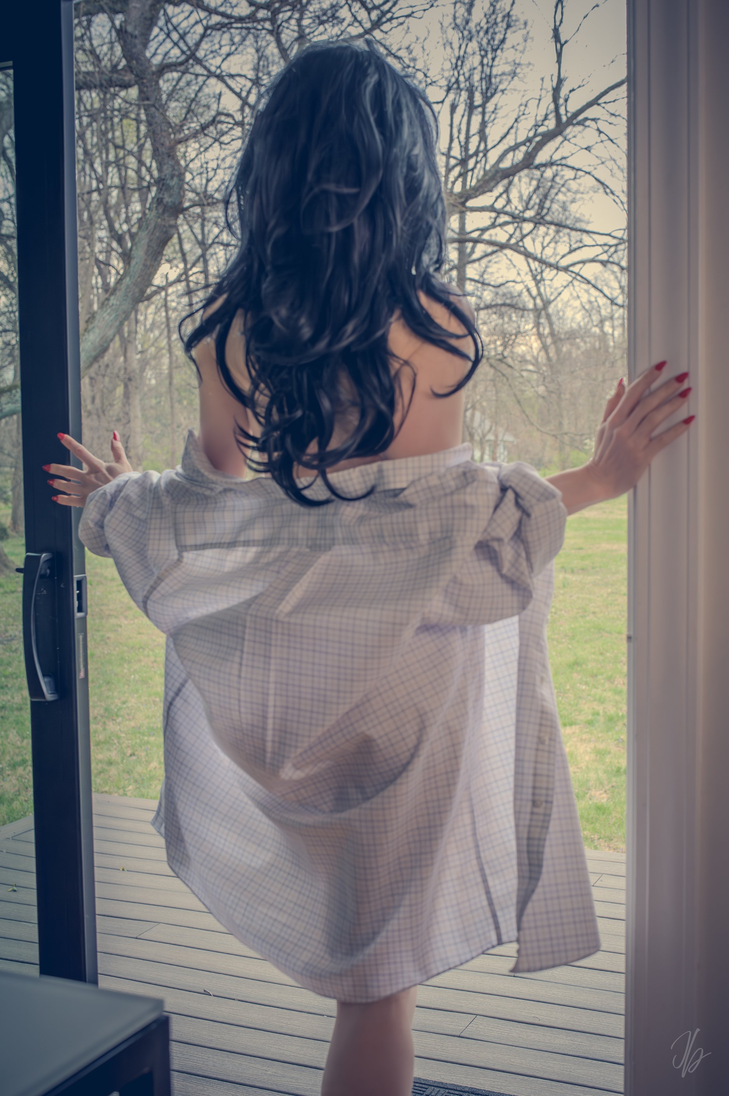 VL_Window Willow -1.jpg