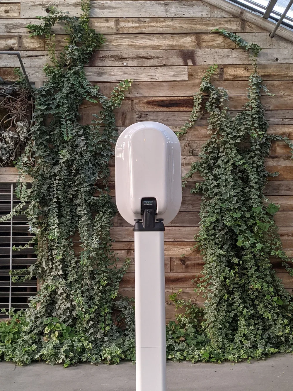 An electric vehicle charging station with a white charging unit mounted on a white pole, set against a wooden wall with greenery and ivy plants growing around it.