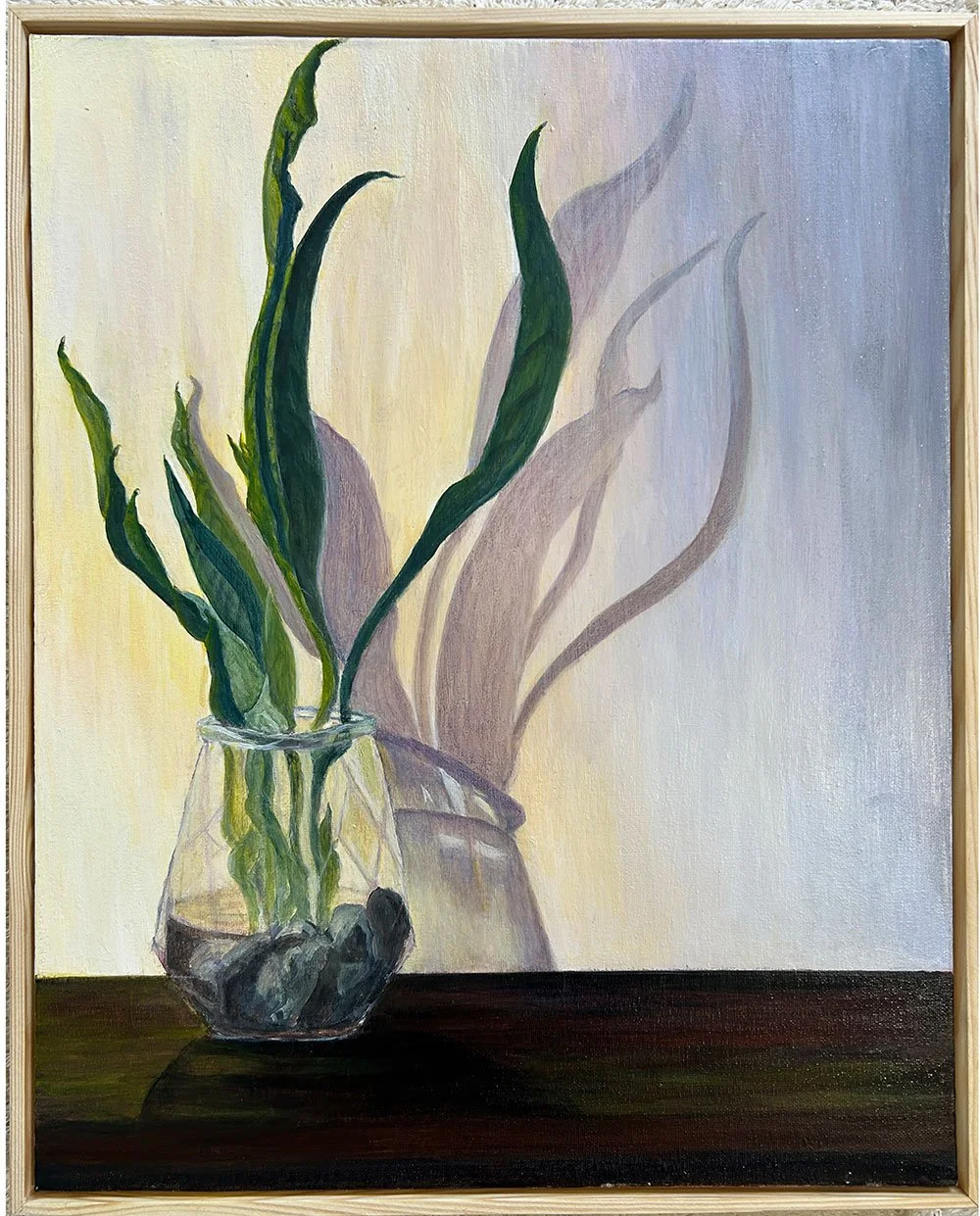 Painting of Snake Plant in a glass vase with rocks, casting a shadow on a cream, pale purple and blue wall.